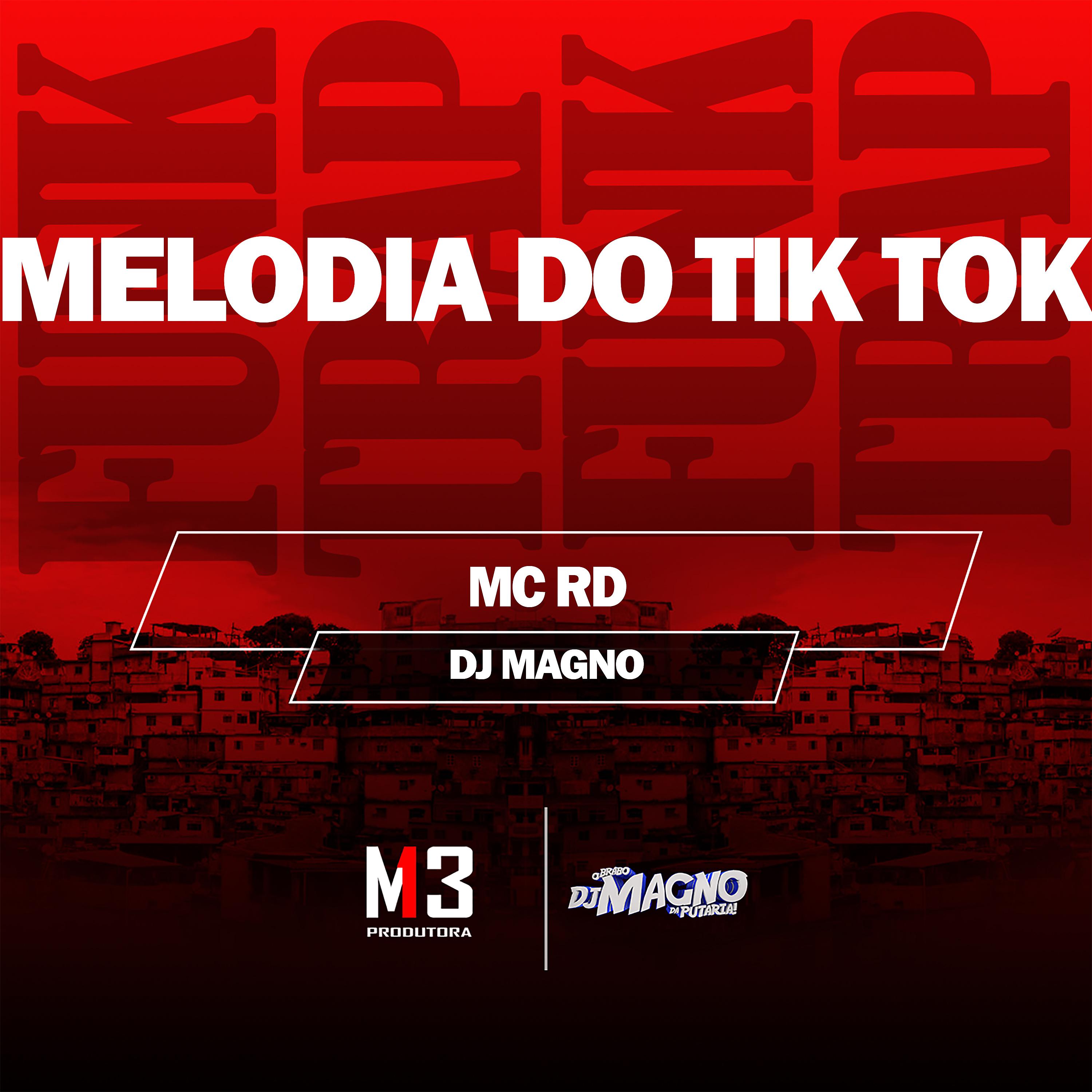 Постер альбома Melodia do Tik Tok