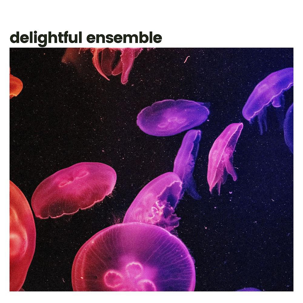 Постер альбома Delightful Ensemble