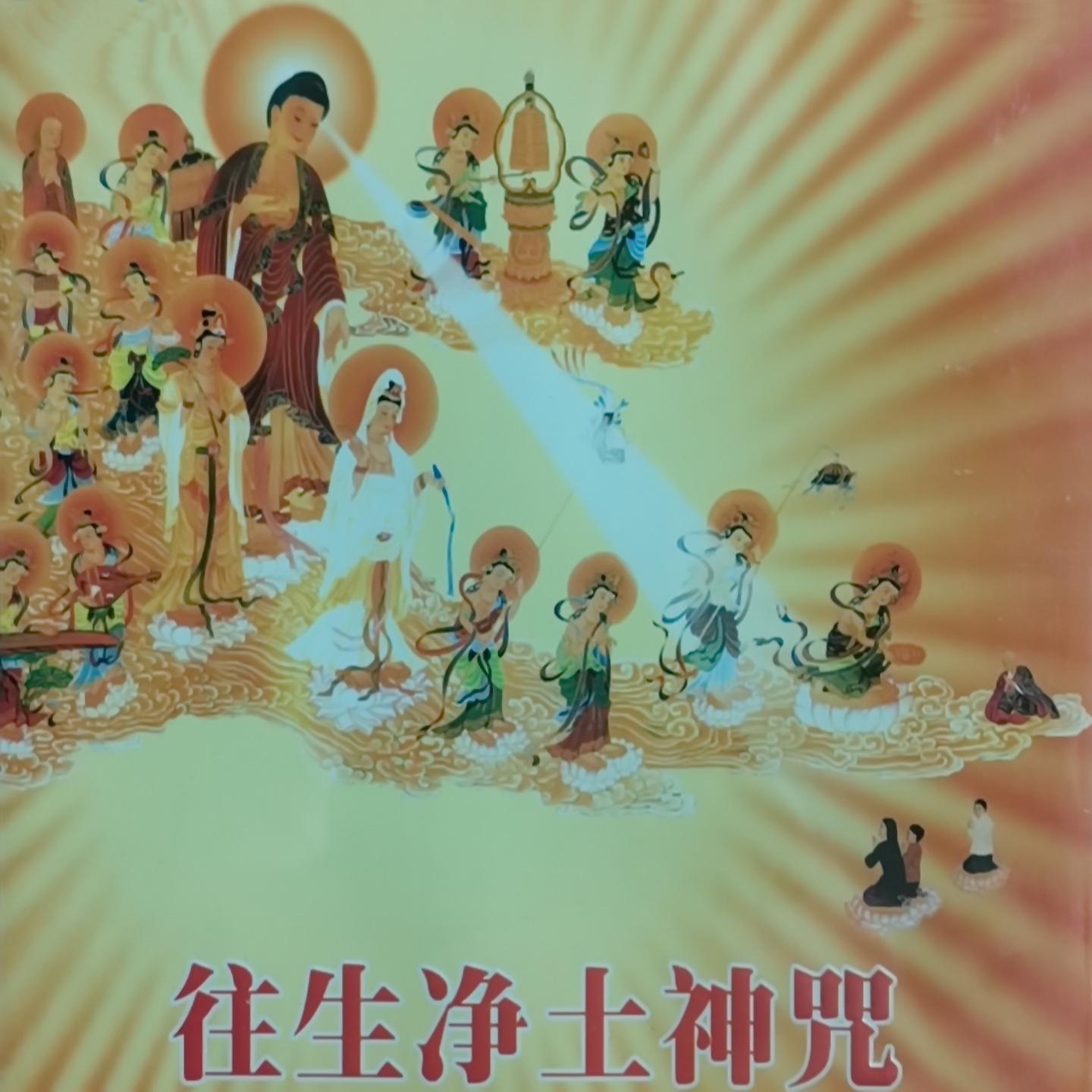 Постер альбома 往生净土神咒