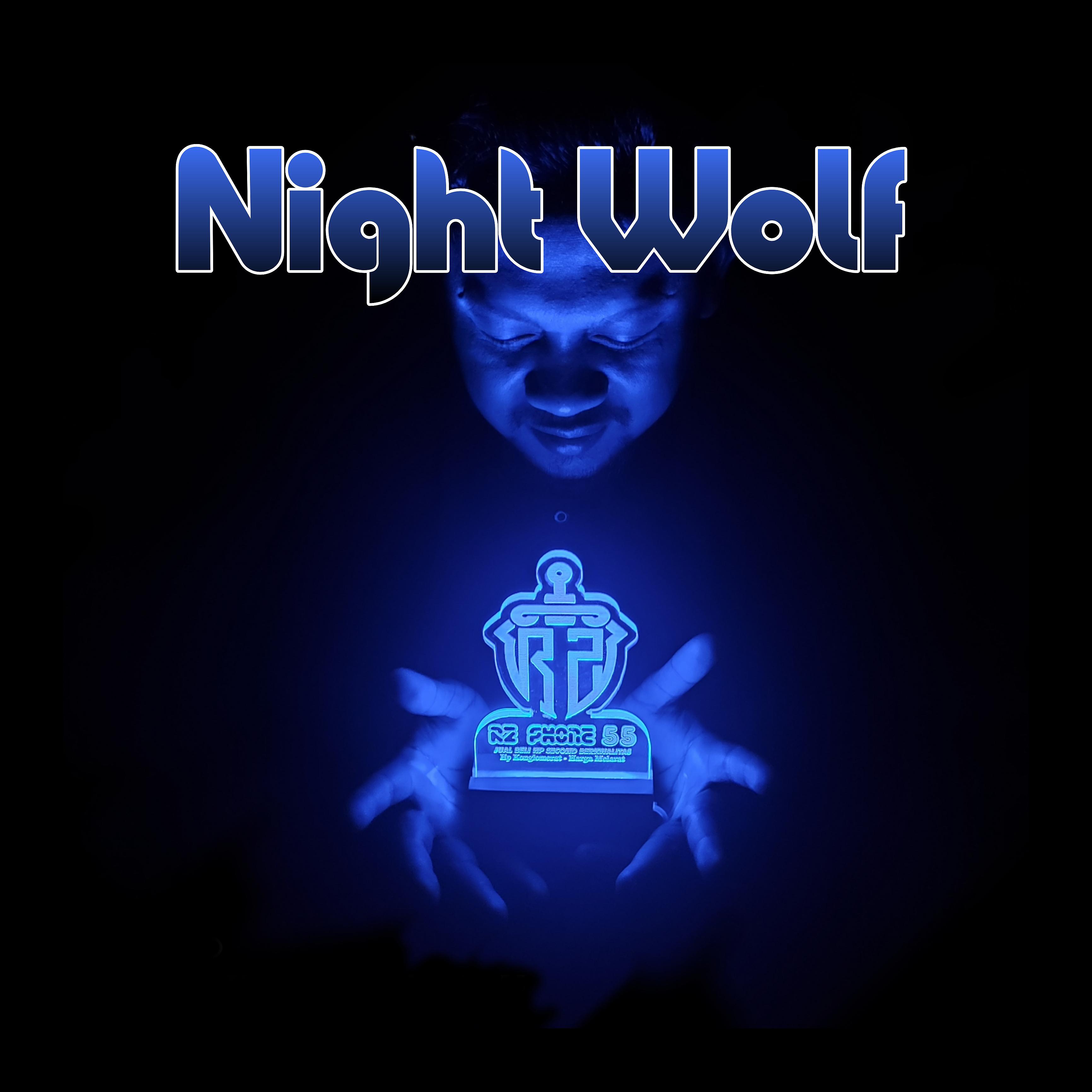 Постер альбома Night Wolf
