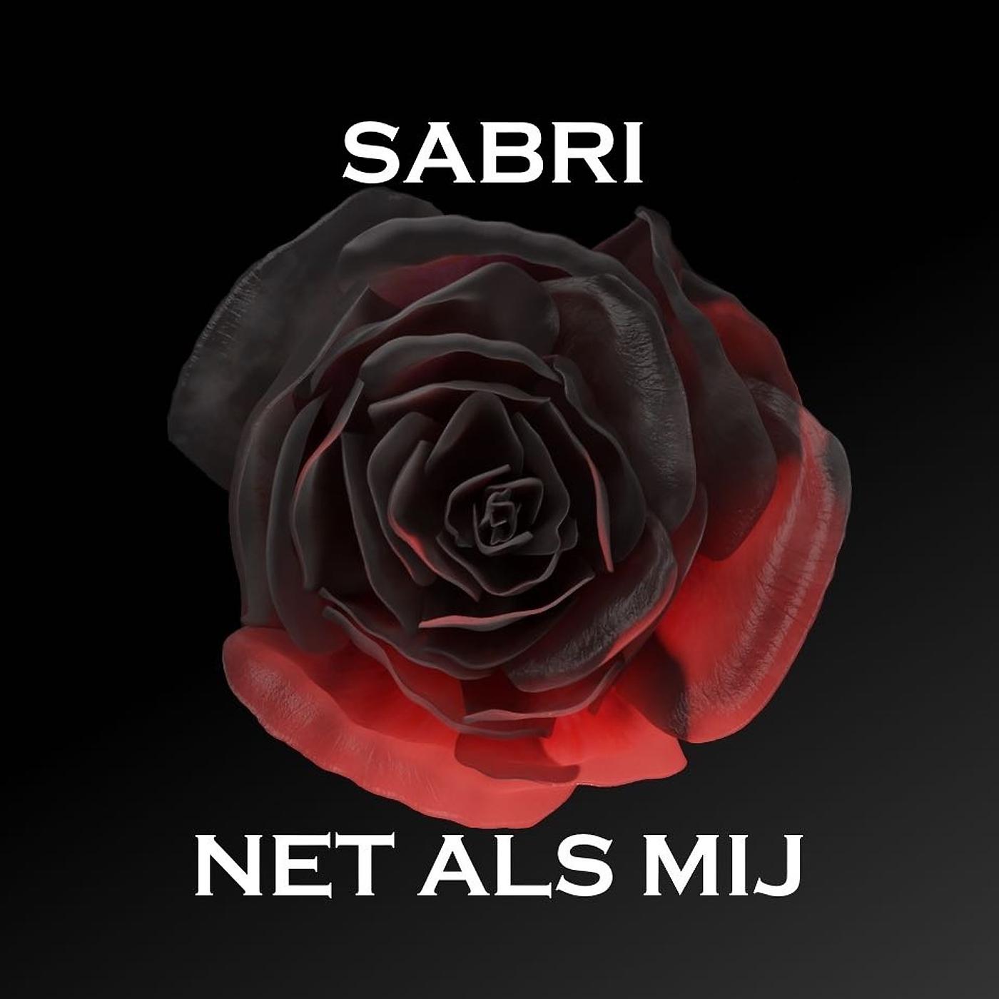 Постер альбома Net Als Mij