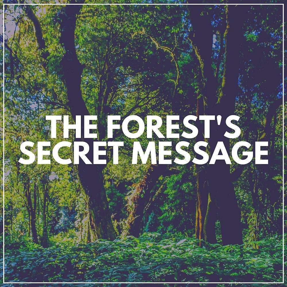 Постер альбома The Forest's Secret Message