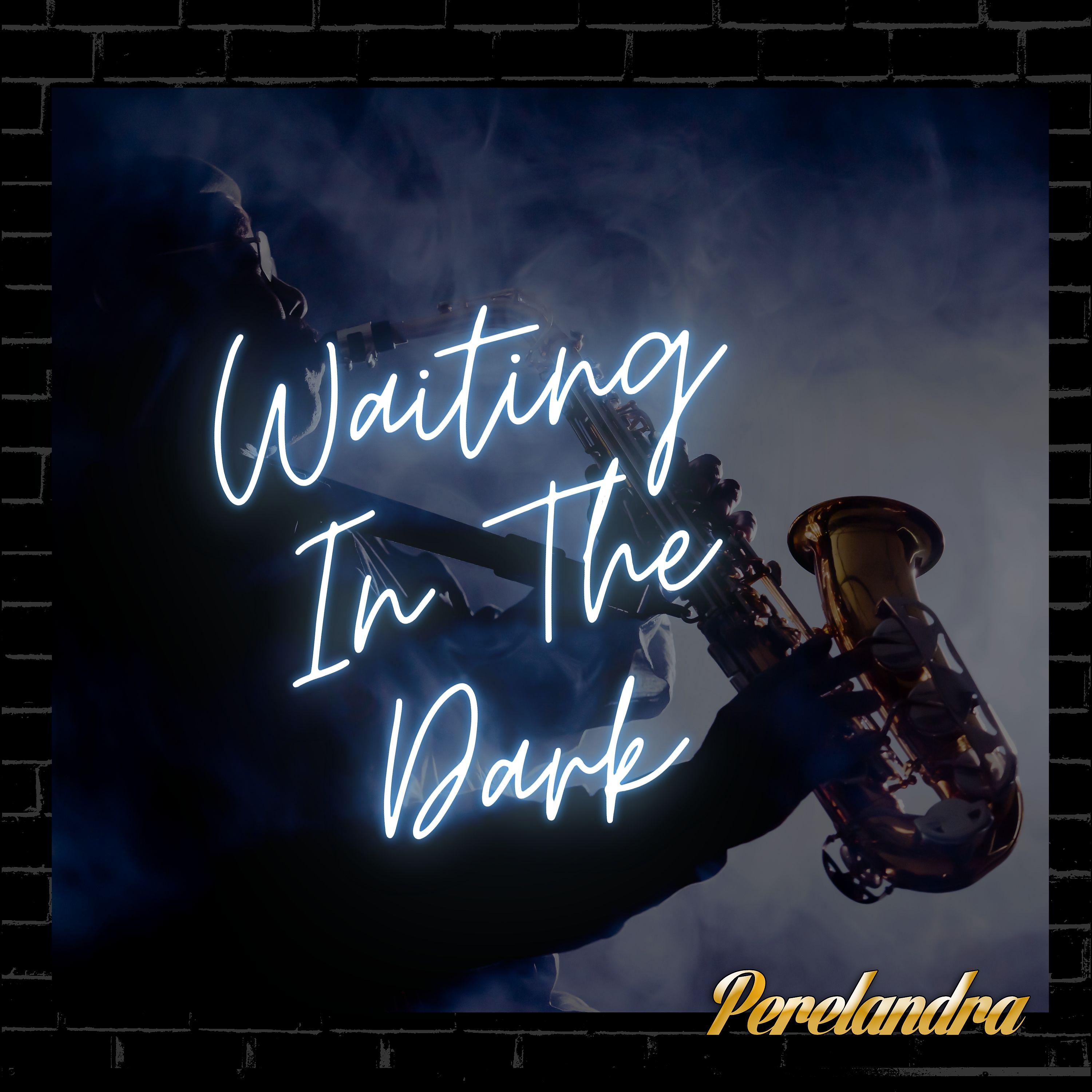 Постер альбома Waiting In The Dark