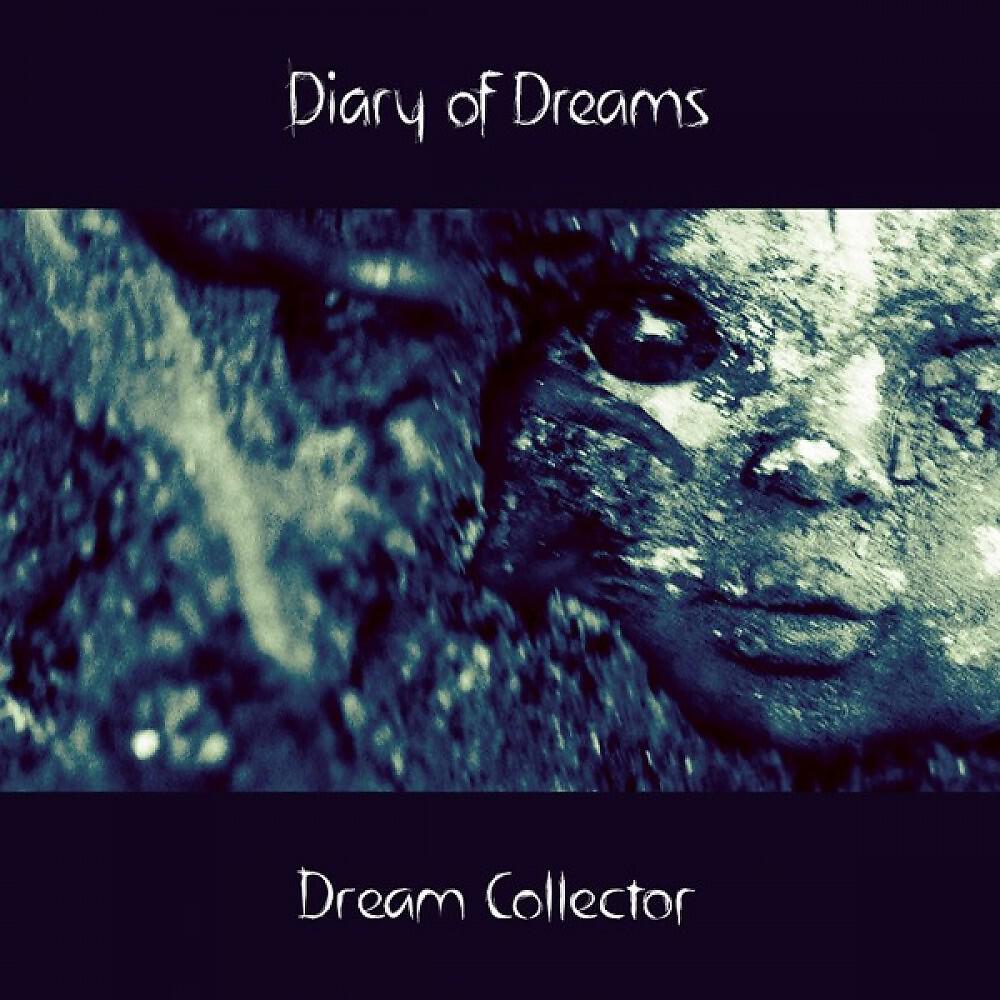 Diary of Dreams - Soul Stripper (L.I.M.Strip Mix)