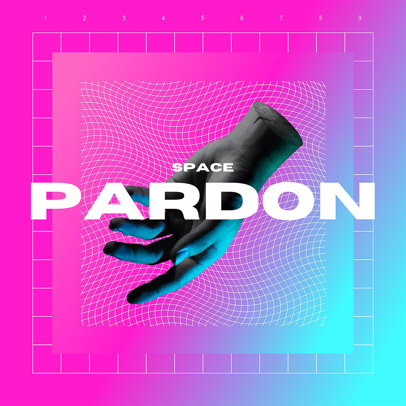 Постер альбома Pardon