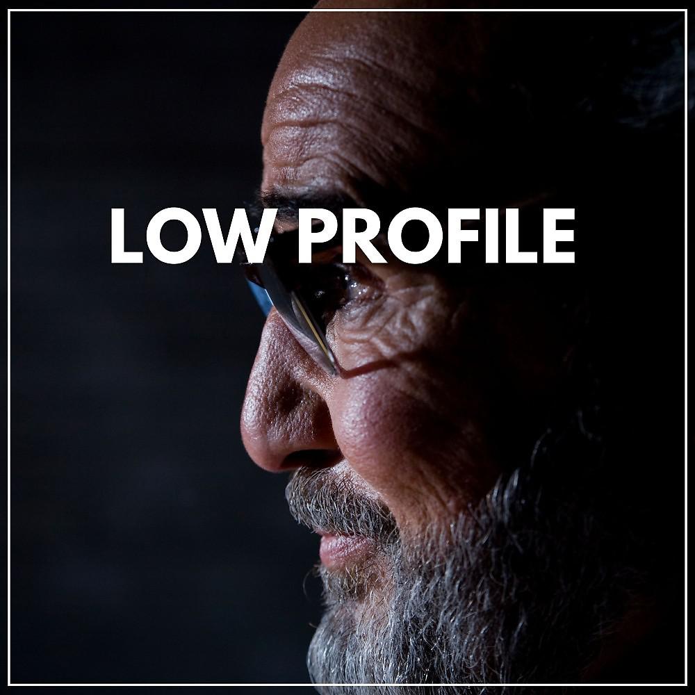 Постер альбома Low Profile