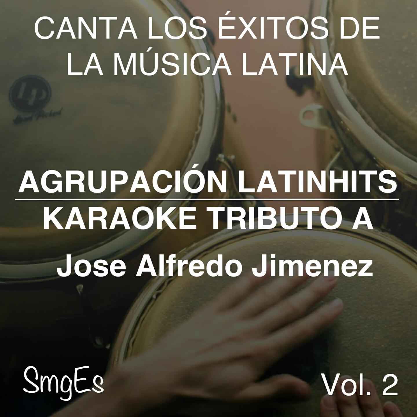 Agrupacion LatinHits - Te Solte la Rienda