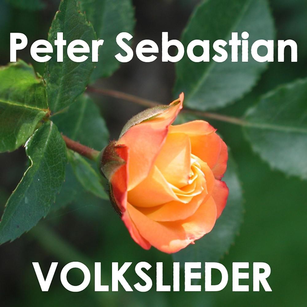 Постер альбома Volkslieder