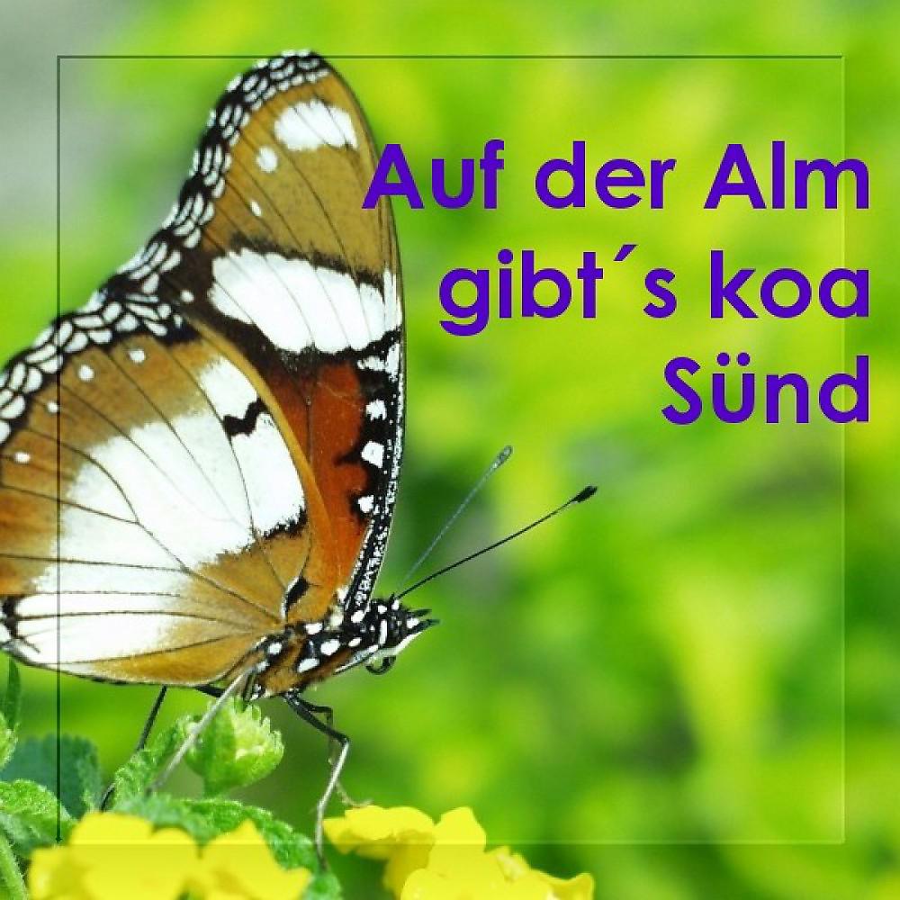 Постер альбома Auf Der Alm Gibt's Koa Sünd - Echte Volksmusik - Bayern - Bavaria