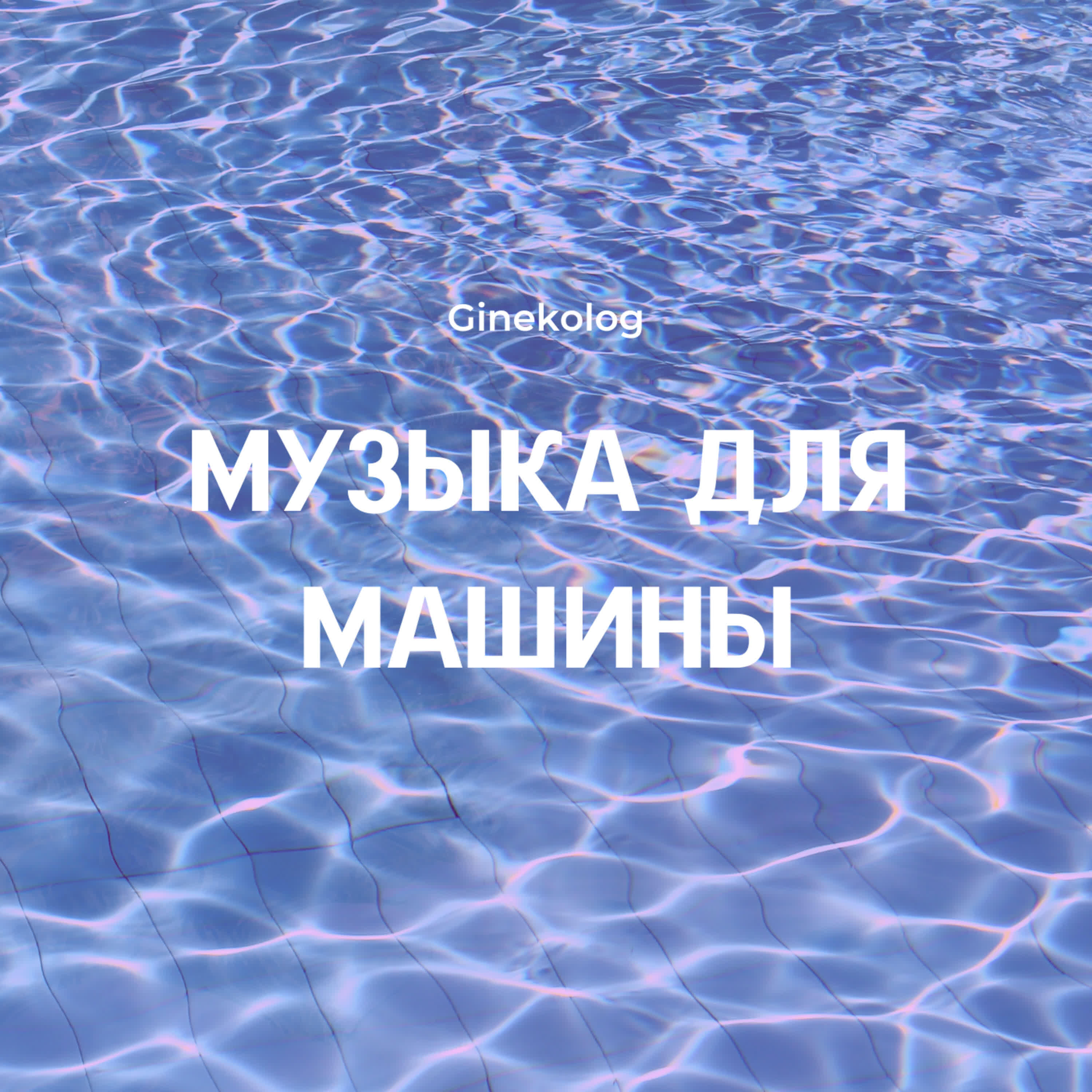 Альбом Музыка для машины исполнителя Ginekolog