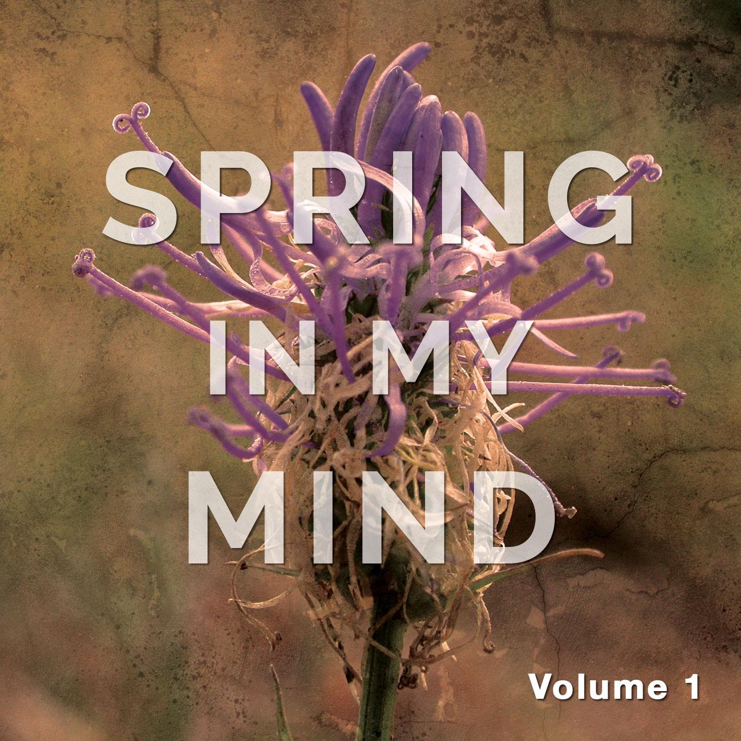 Постер альбома Spring in My Mind, Vol. 1