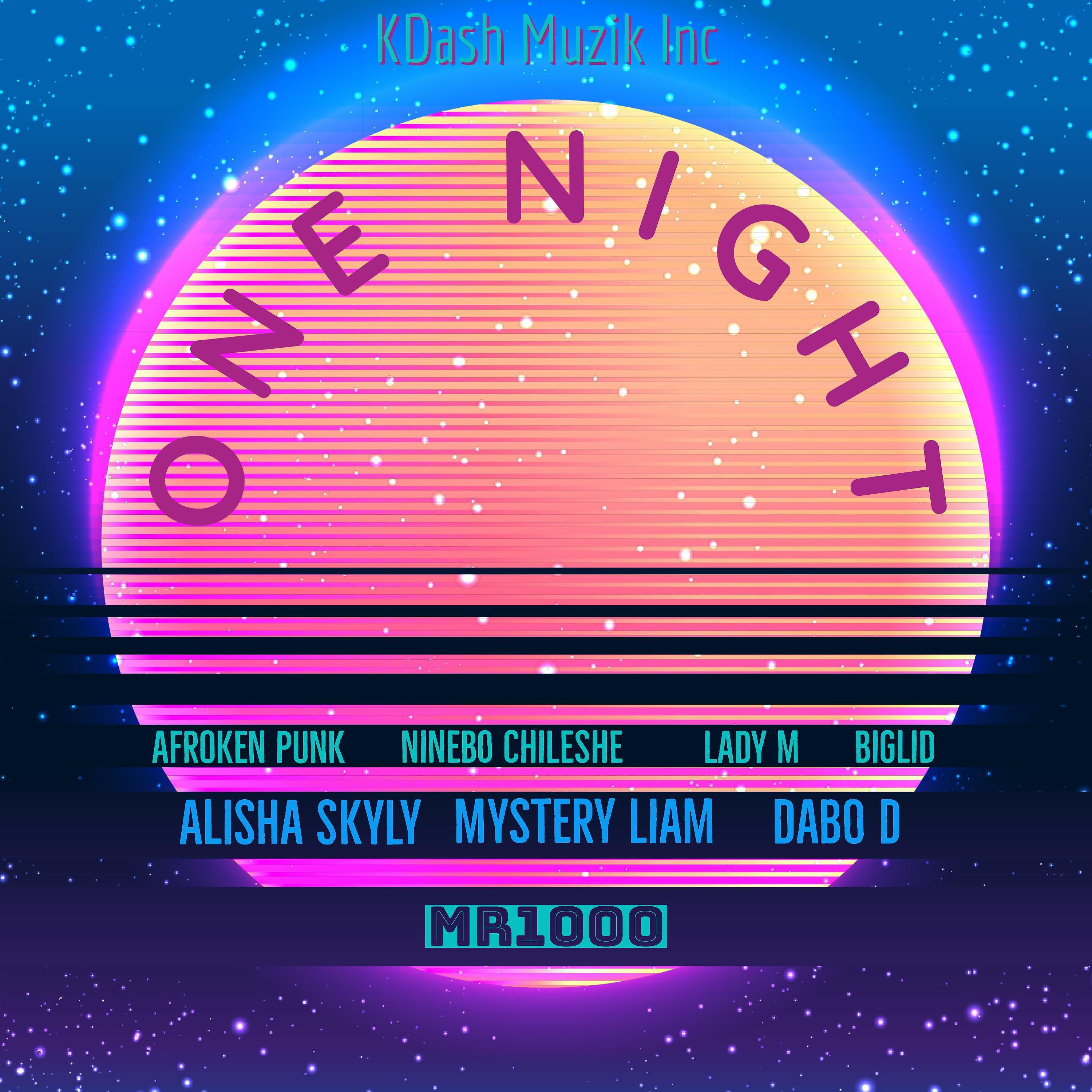Постер альбома One Night (feat. Afroken Punk,Ninebo Chileshe,Lady M,Alisha Skyly & Big Lid)