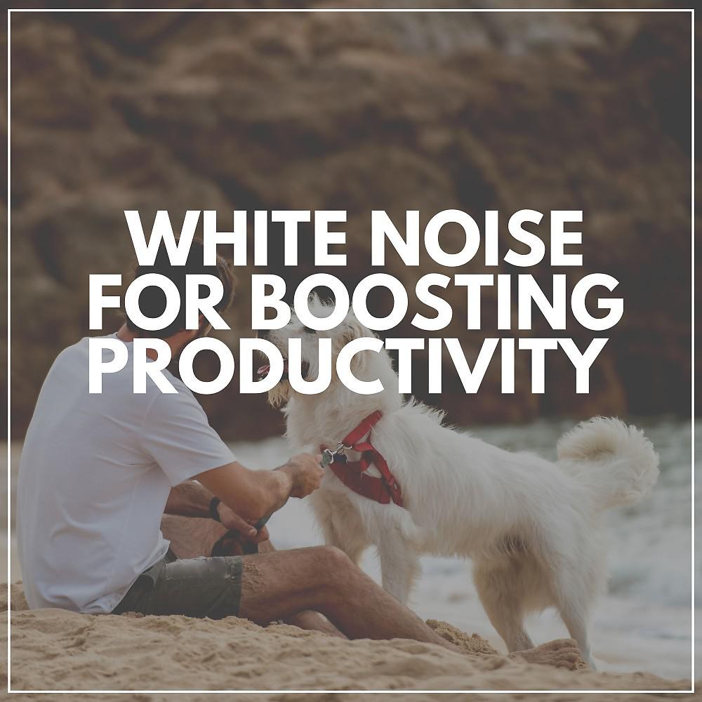 Постер альбома White Noise for Boosting Productivity