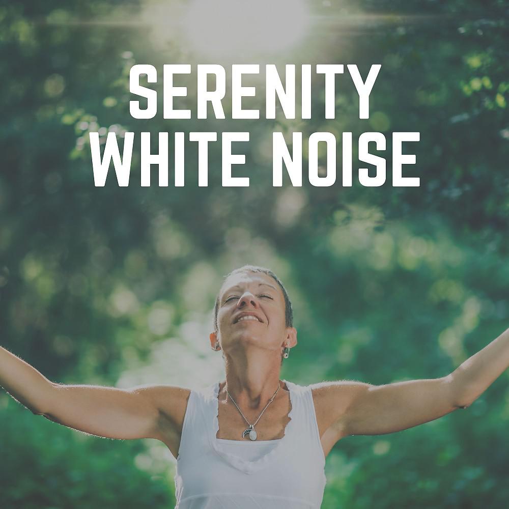 Постер альбома Serenity White Noise