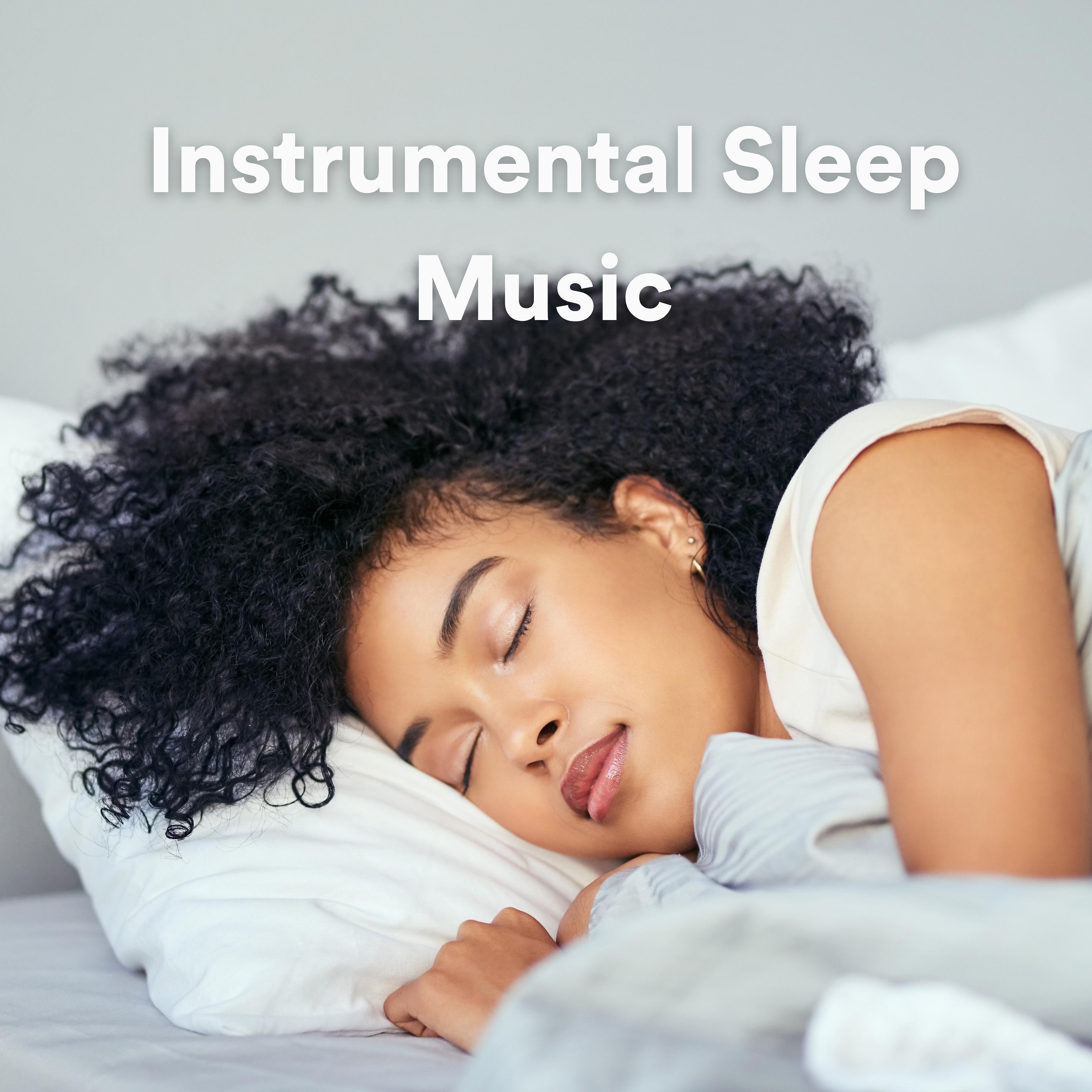 Постер альбома Instrumental Sleep Music