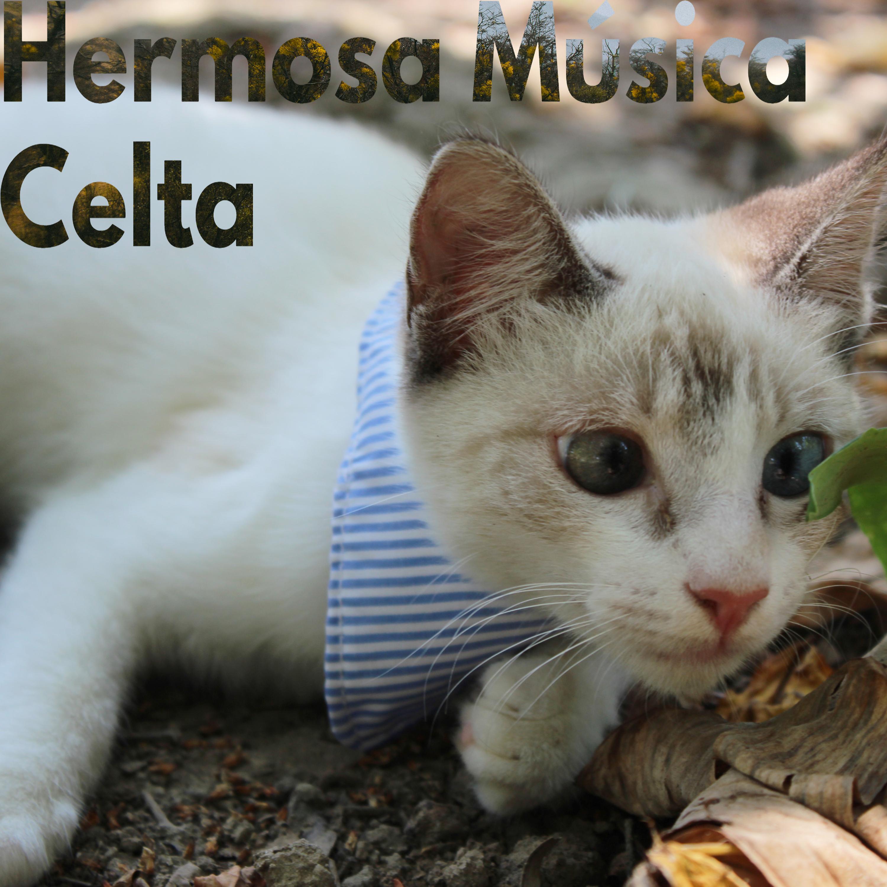 Постер альбома Hermosa Música Celta