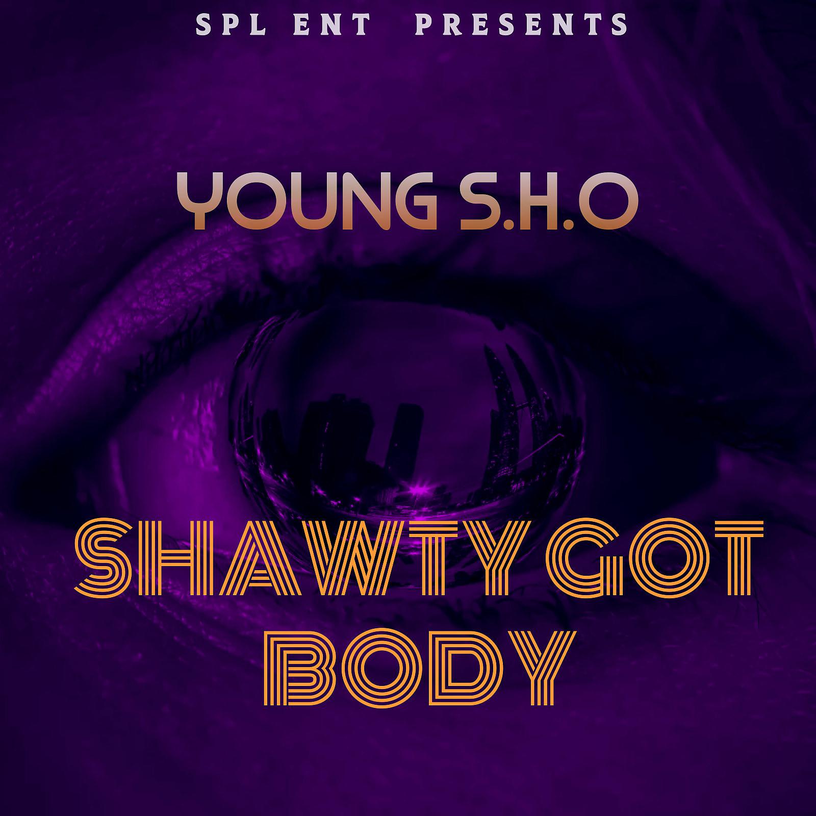 Постер альбома Shawty Got Body