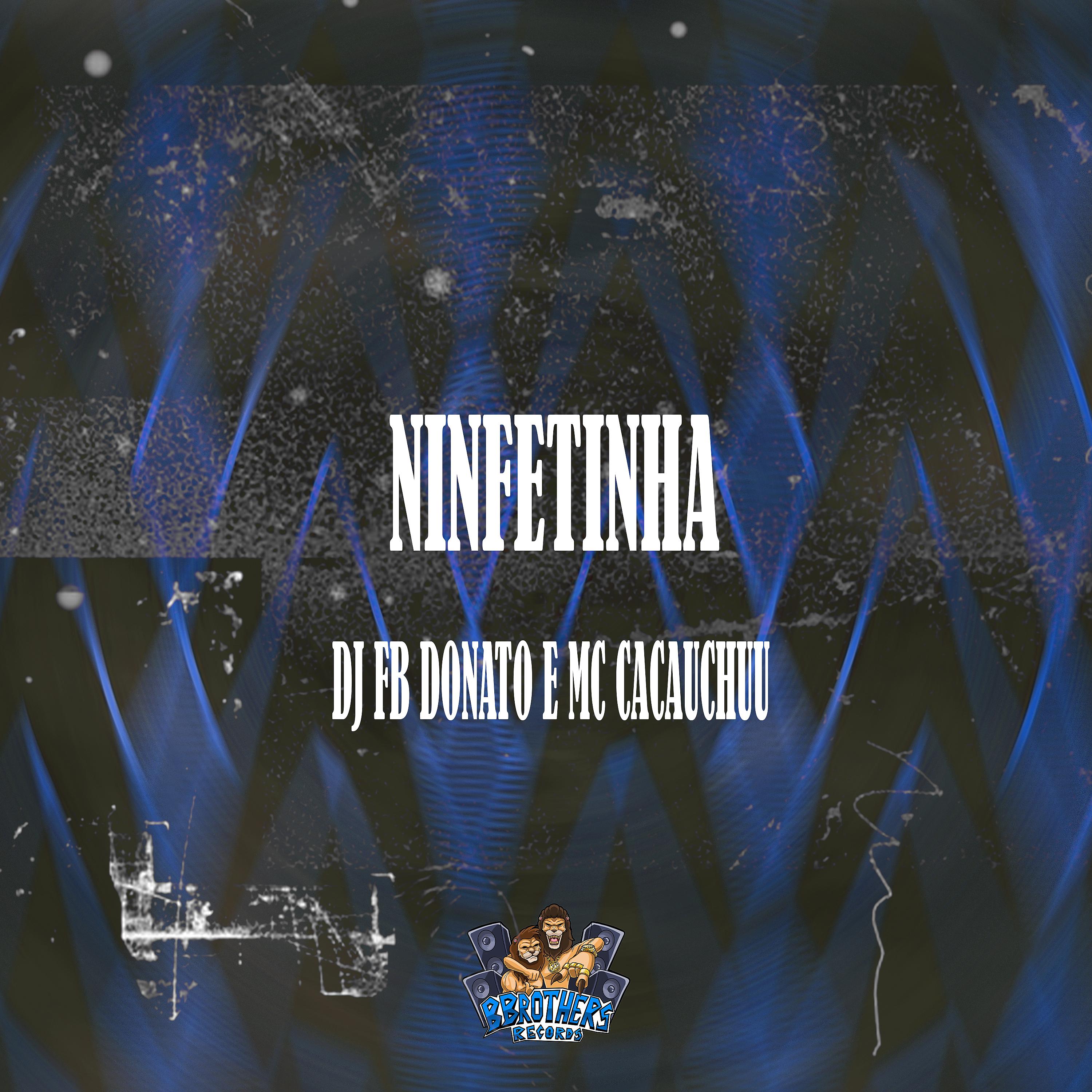 Постер альбома Ninfetinha