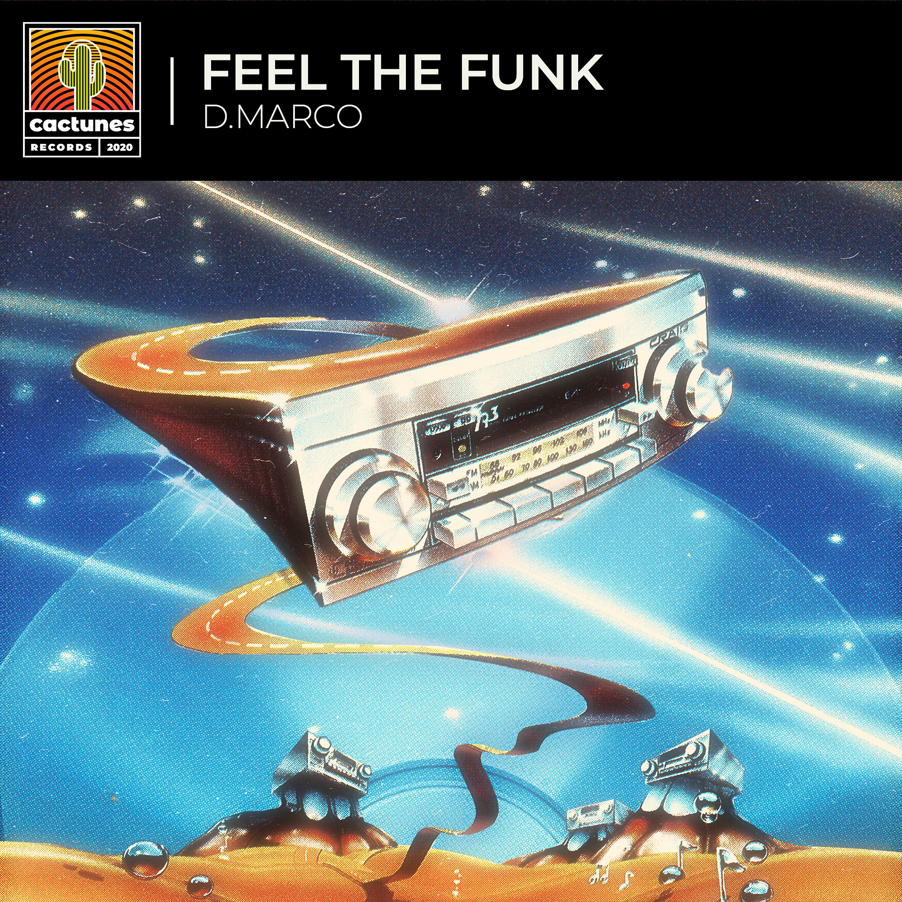 Постер альбома Feel the Funk