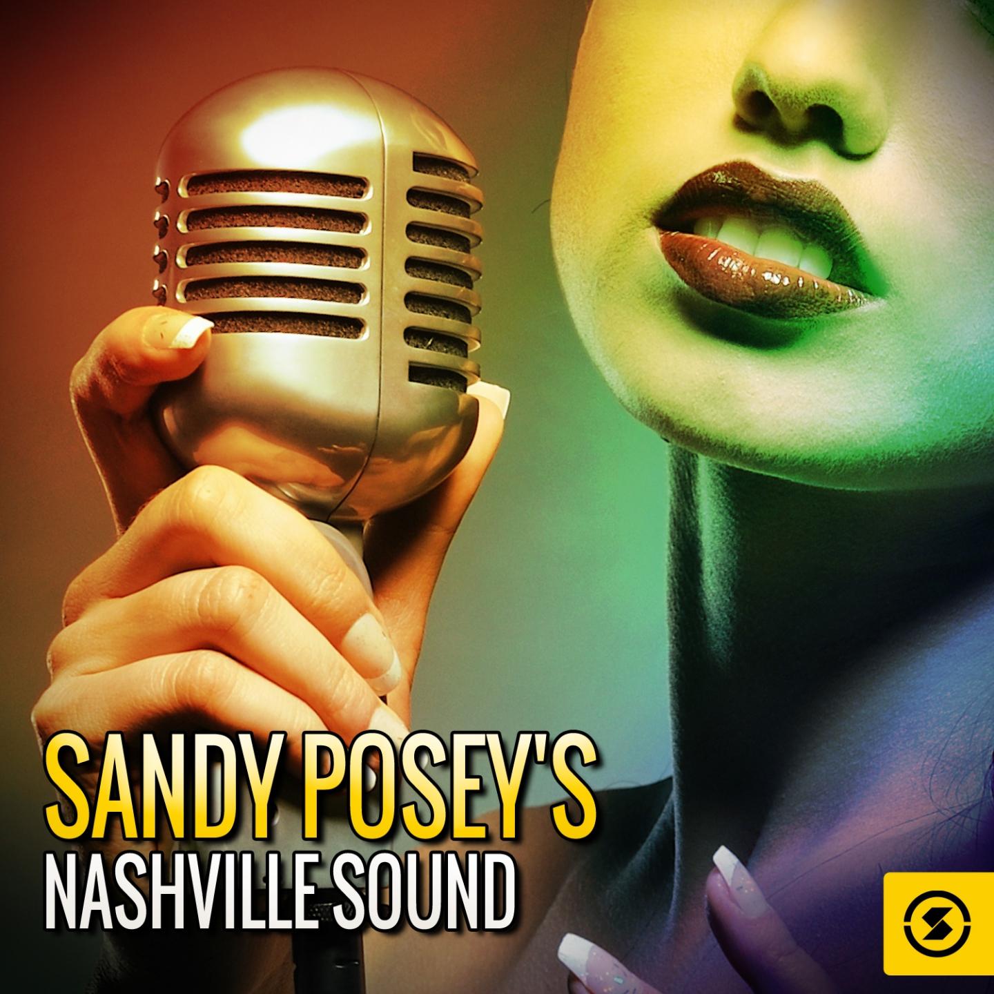 Постер альбома Sandy Posey's Nashville Sound