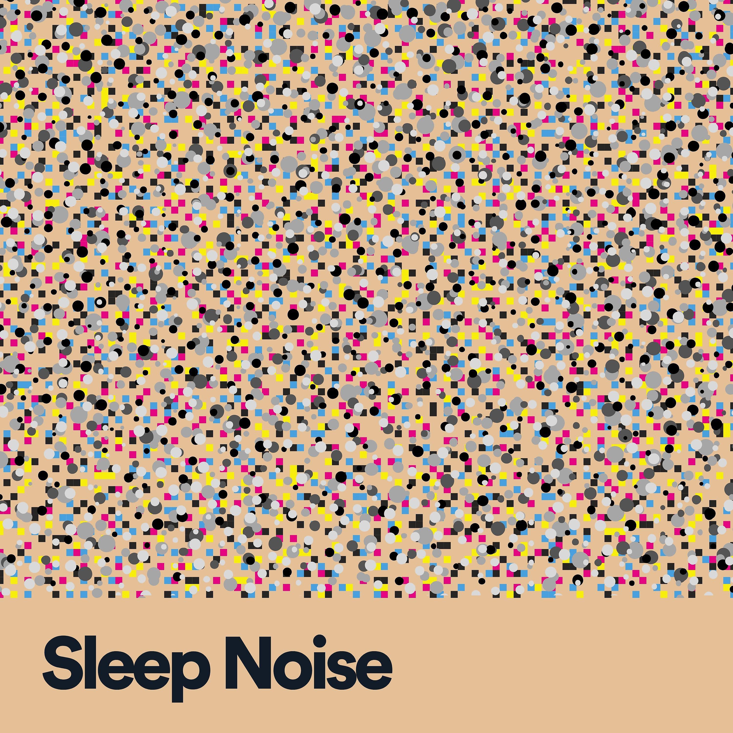 Постер альбома Sleep Noise