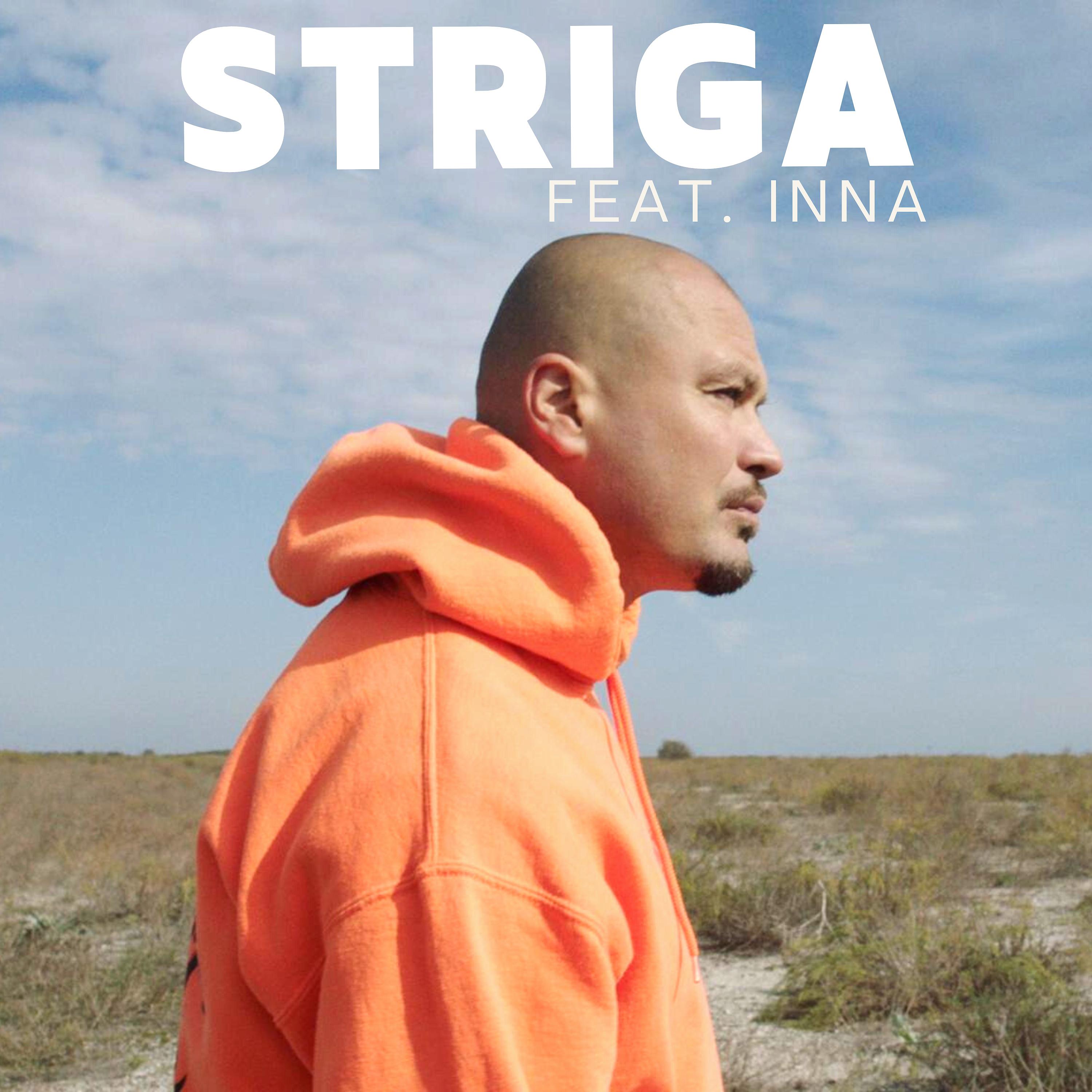 Постер альбома Striga