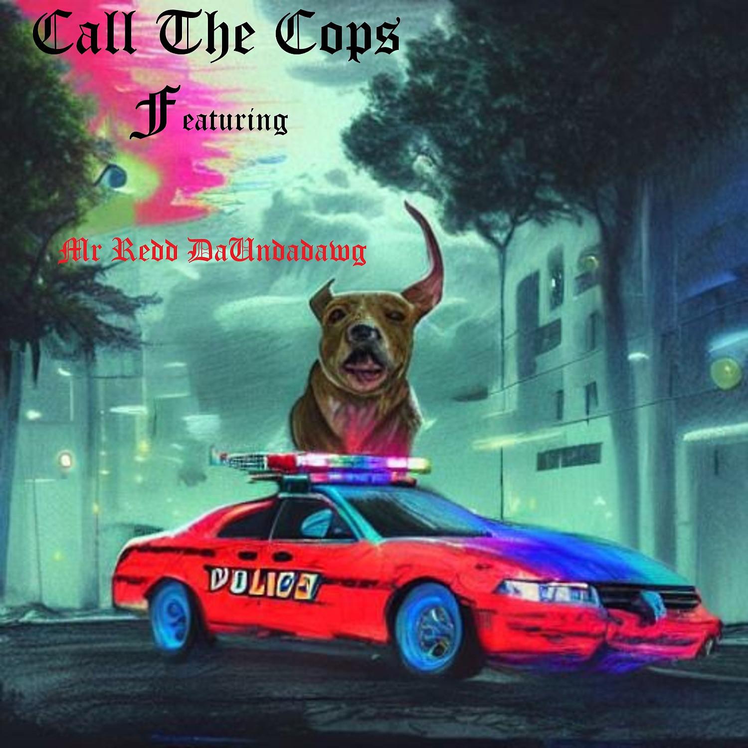 Постер альбома Call The Cops (feat. Mr Redd DaUndadawg)