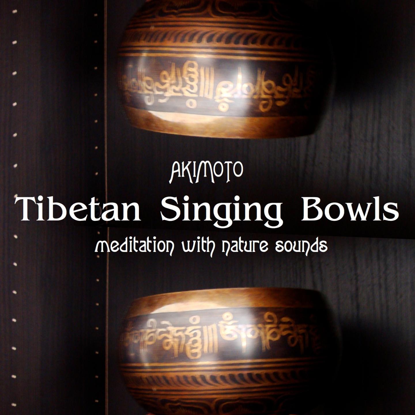 Постер альбома Tibetan Singing Bowls and Nature Sounds