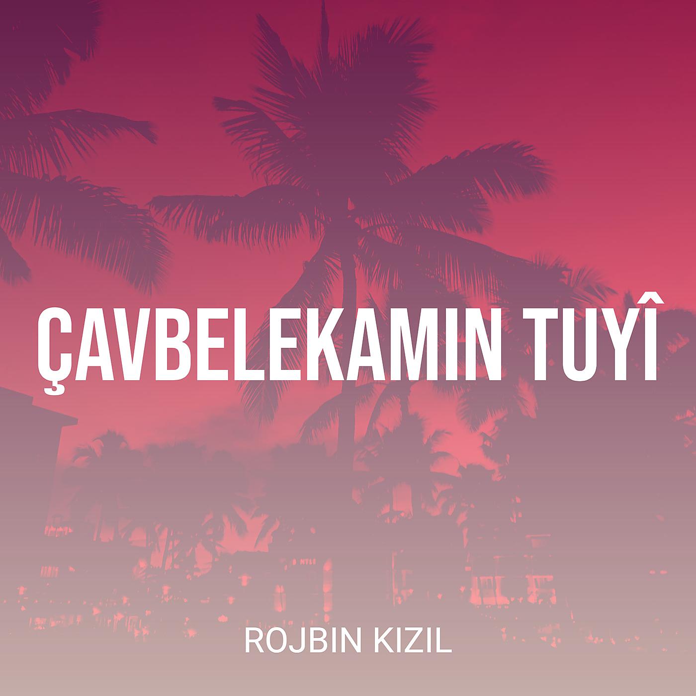 Постер альбома Çavbelekamin Tuyî