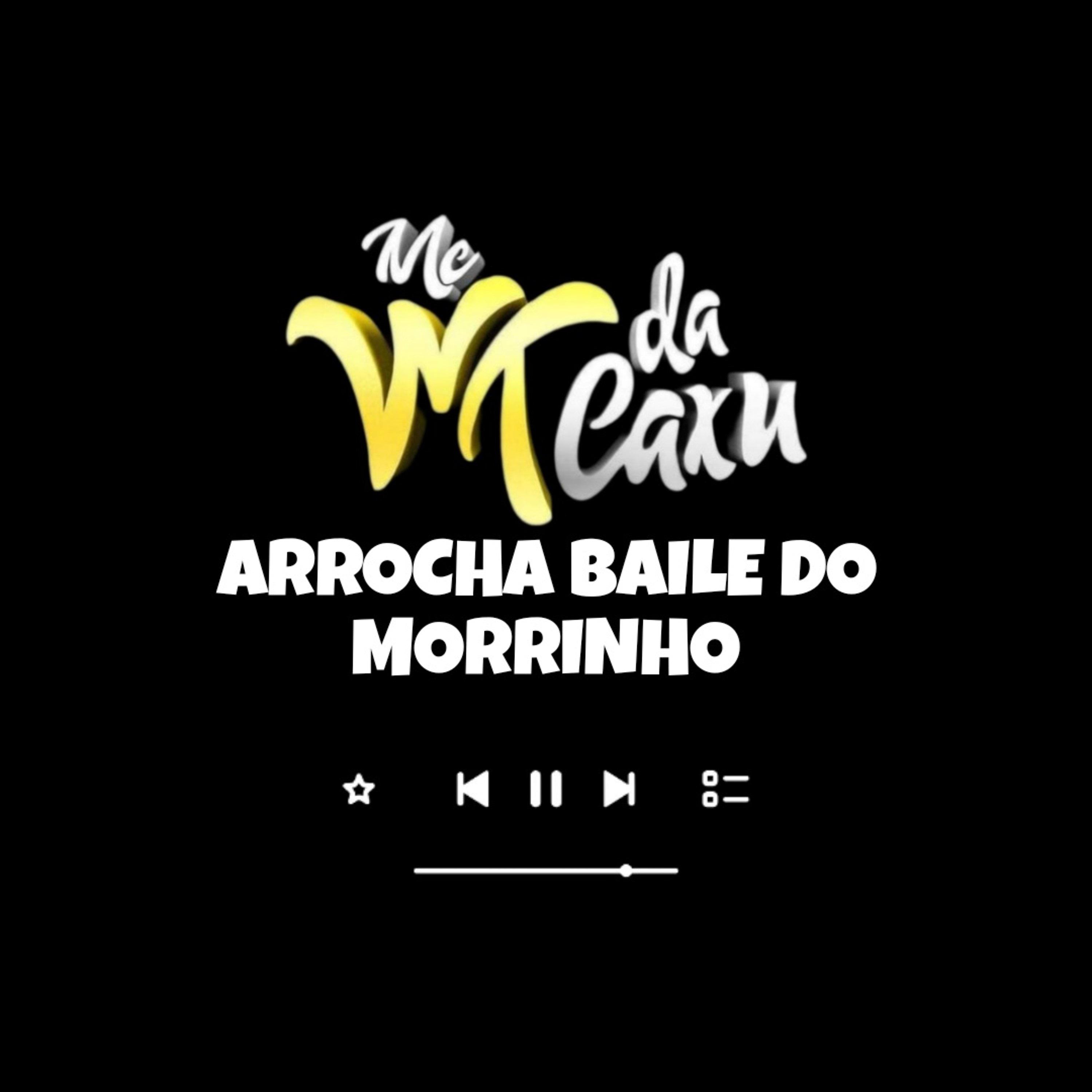 Постер альбома Arrocha Baile do Morrinho
