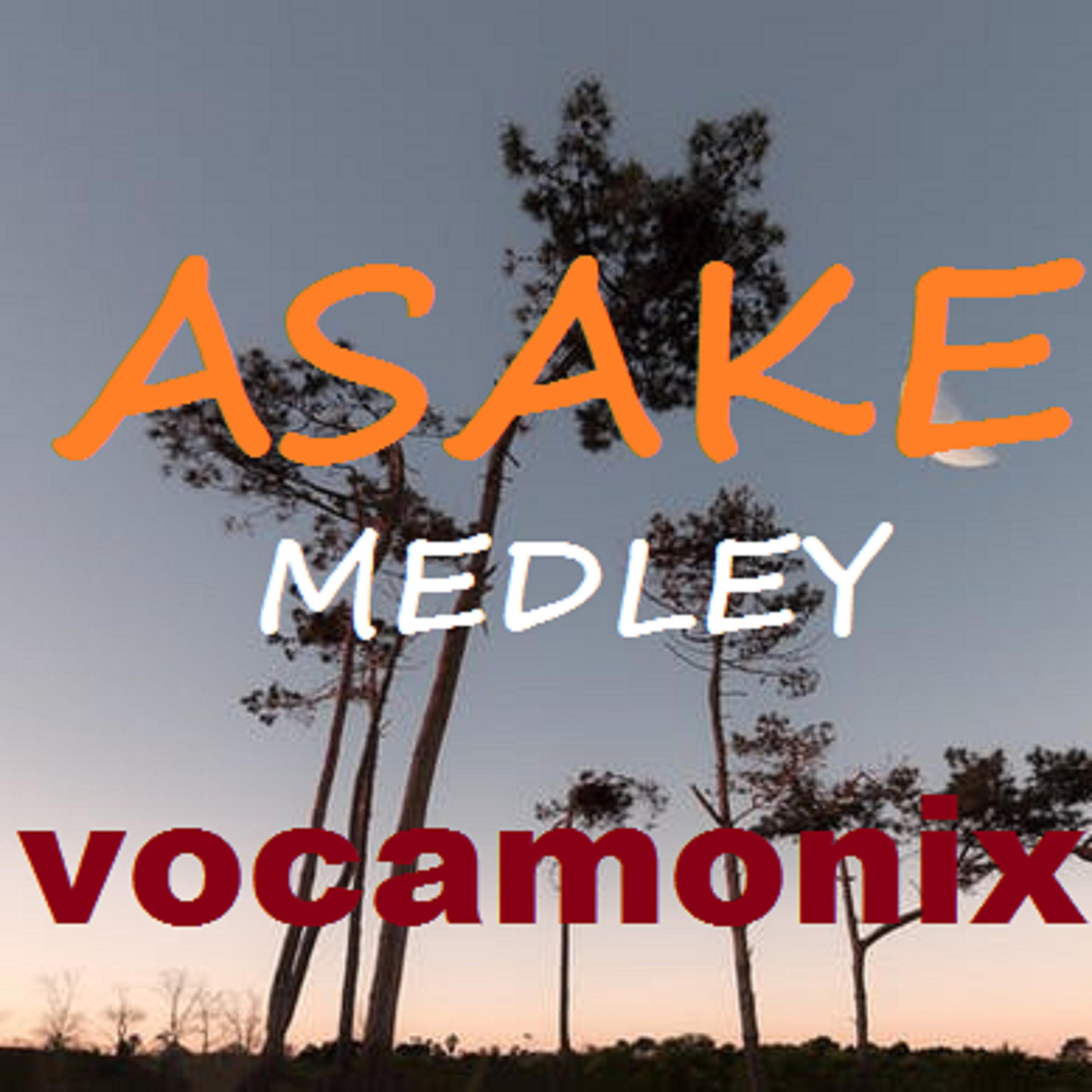Постер альбома Asake Medley