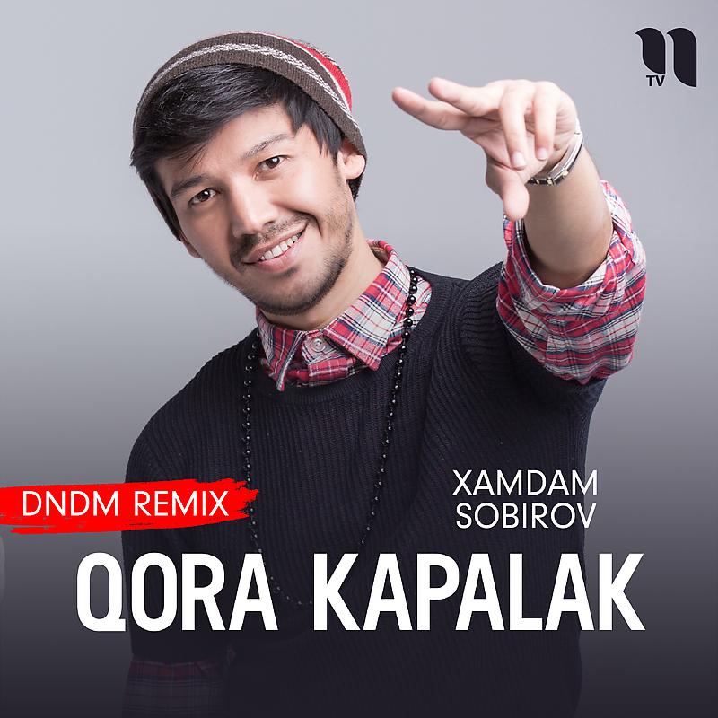 Постер альбома Qora kapalak (DNDM remix)