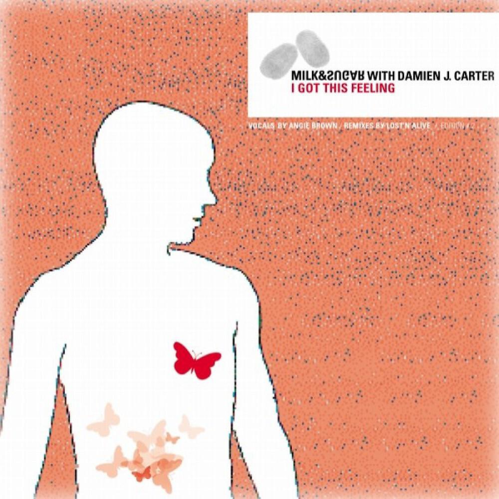 Milk & Sugar with Damien J. Carter - I Got This Feeling (Lost `n´ Alive Terrace Radio Remix)