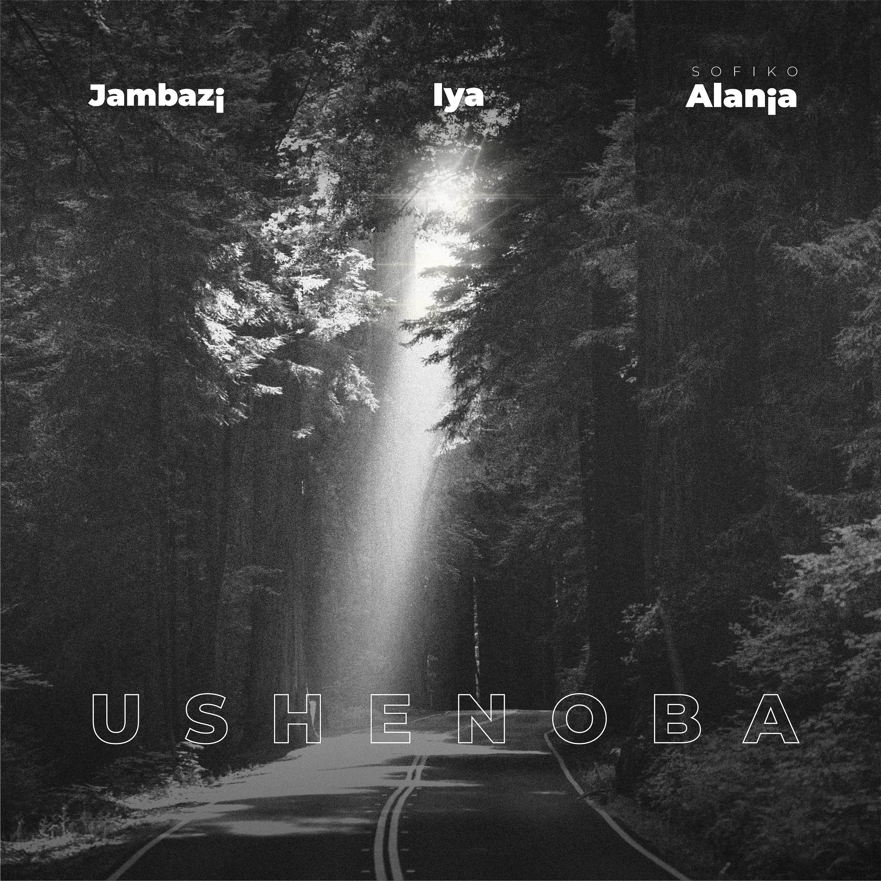 Постер альбома Ushenoba
