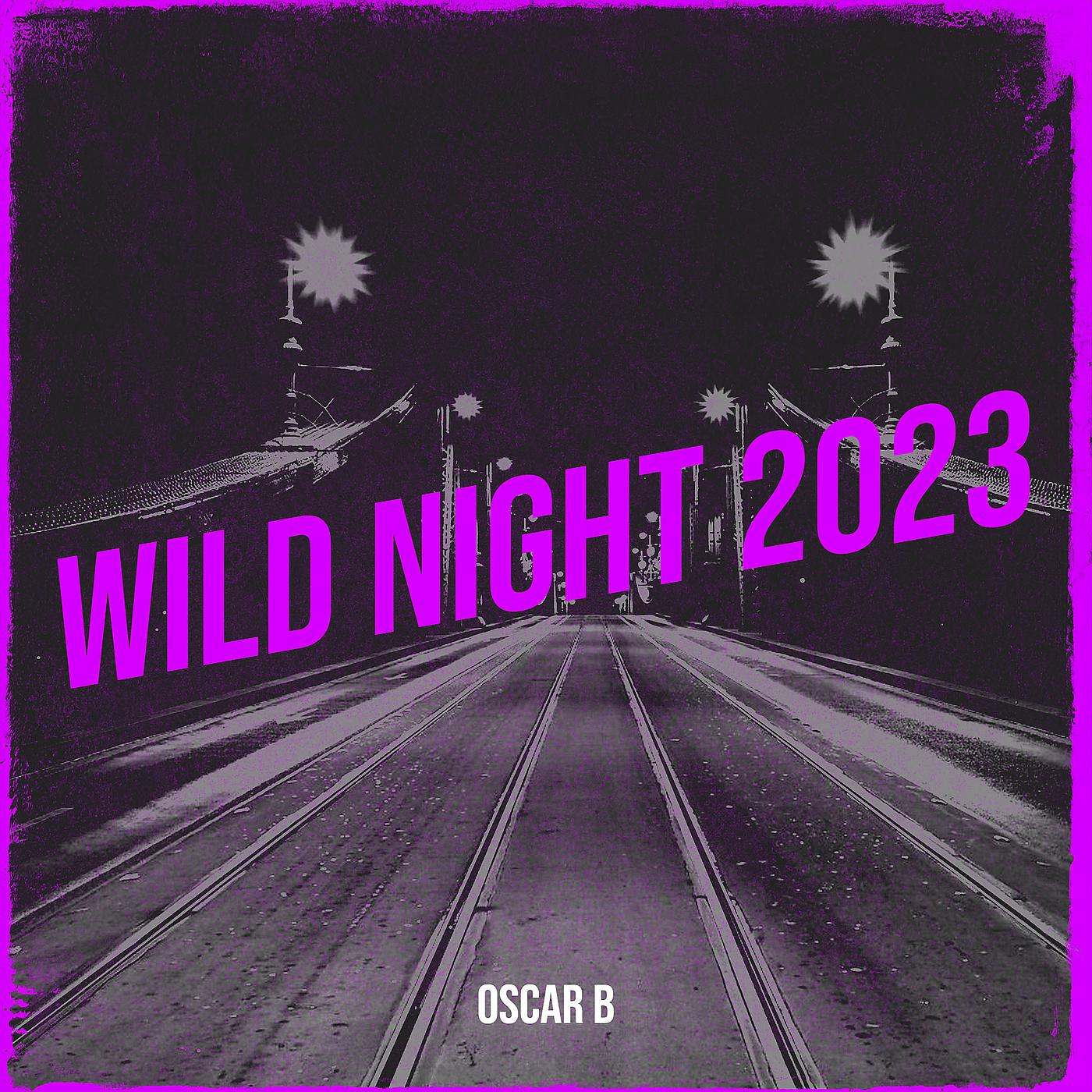 Постер альбома Wild Night 2023