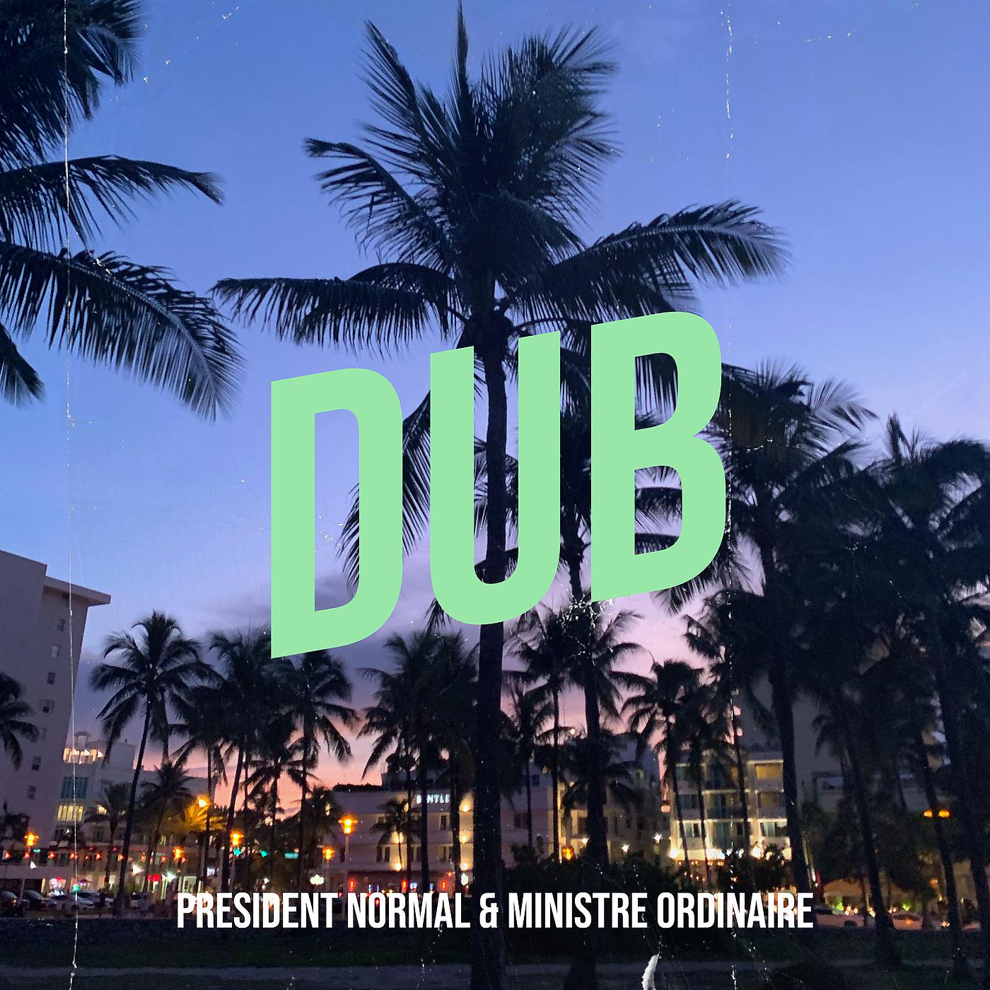 Постер альбома Dub