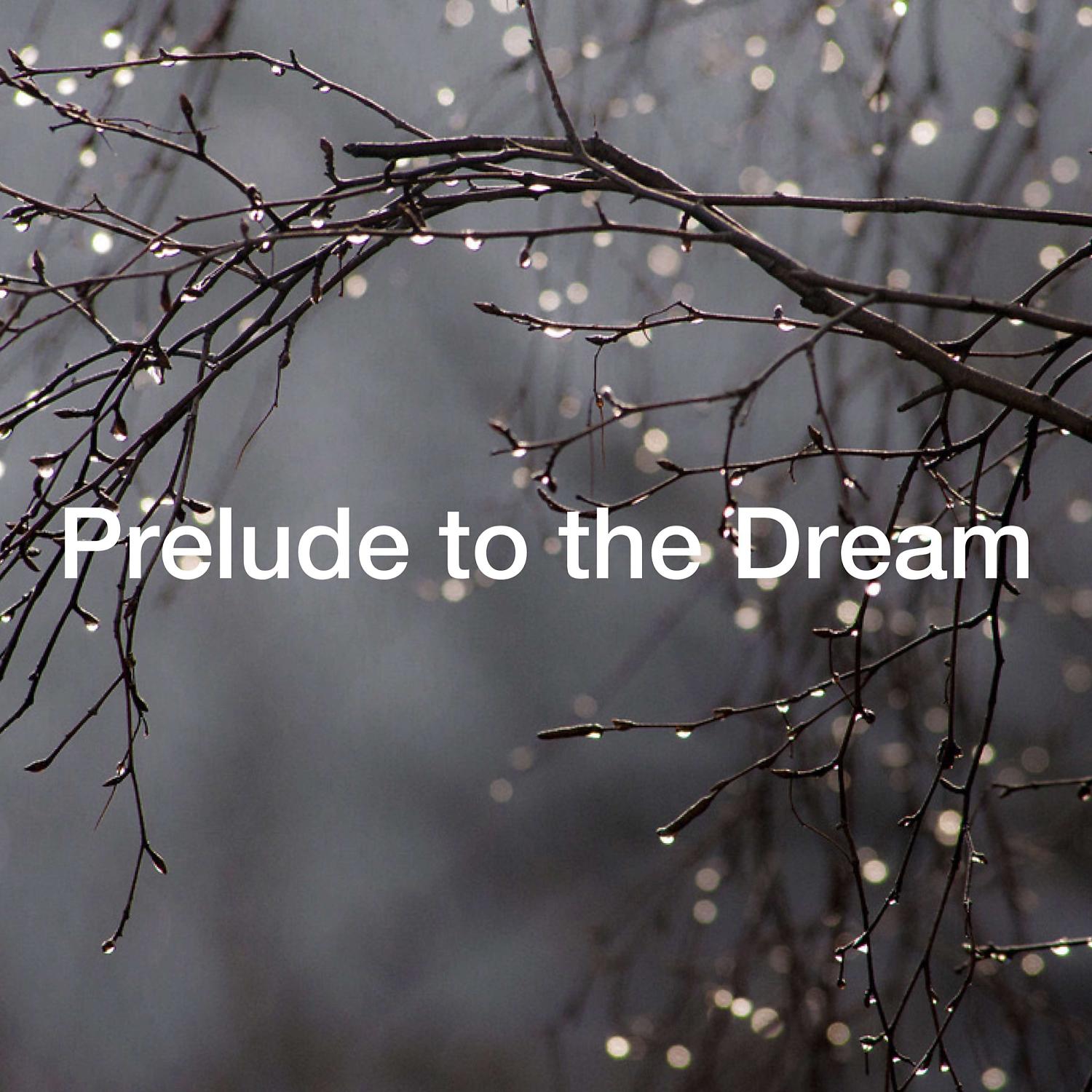 Постер альбома Prelude to the Dream