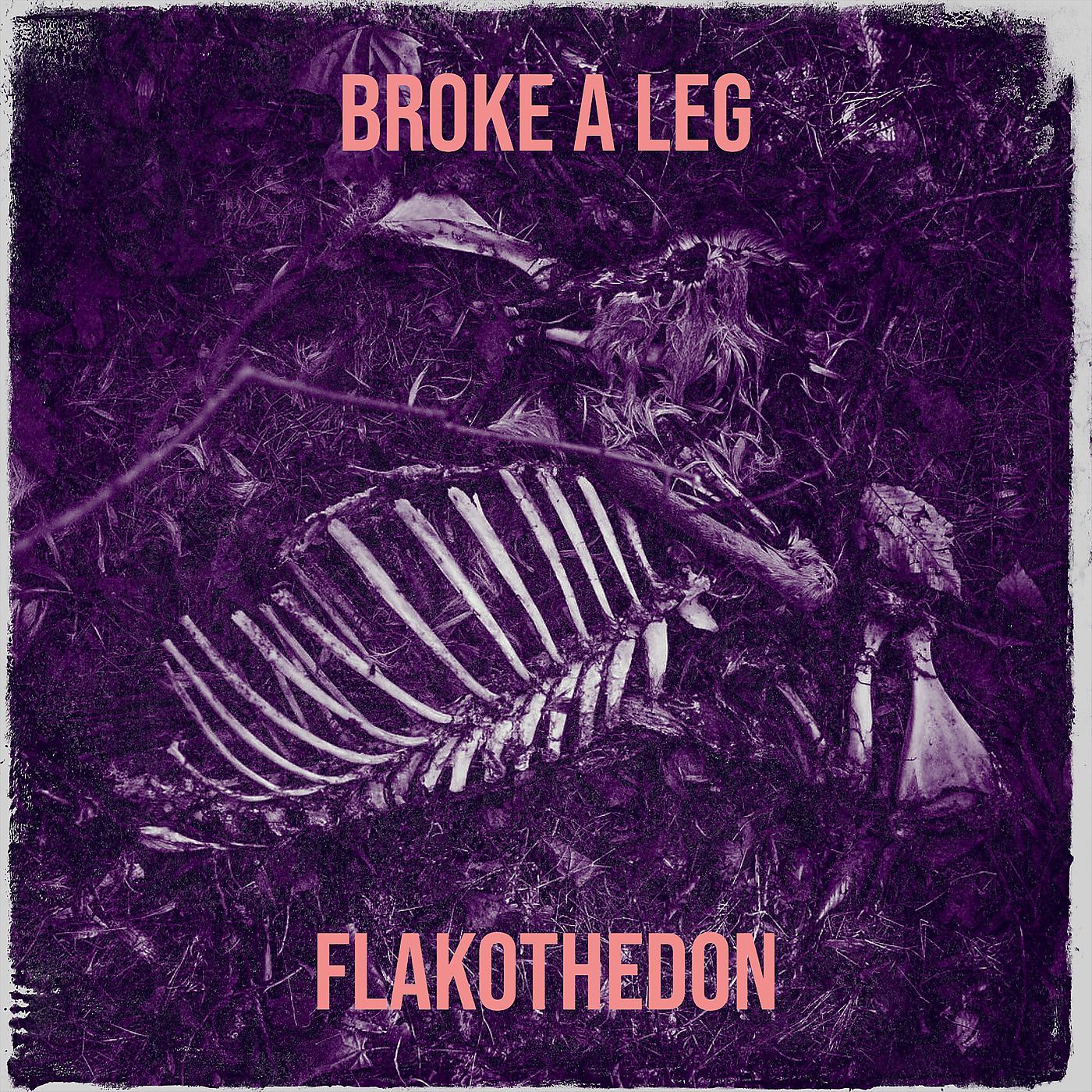 Постер альбома Broke a Leg