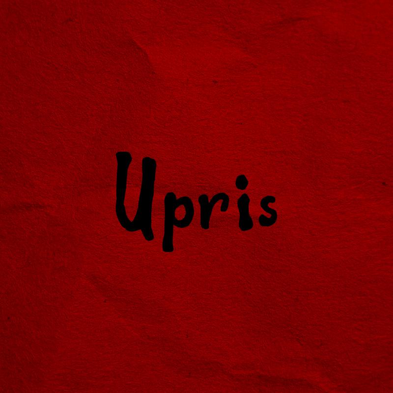 Постер альбома Upris