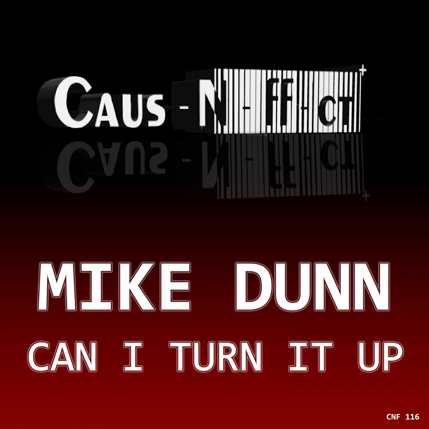 Mike Dunn - Can I Turn It Up (Jerome Sydenham Remix feat. RT)