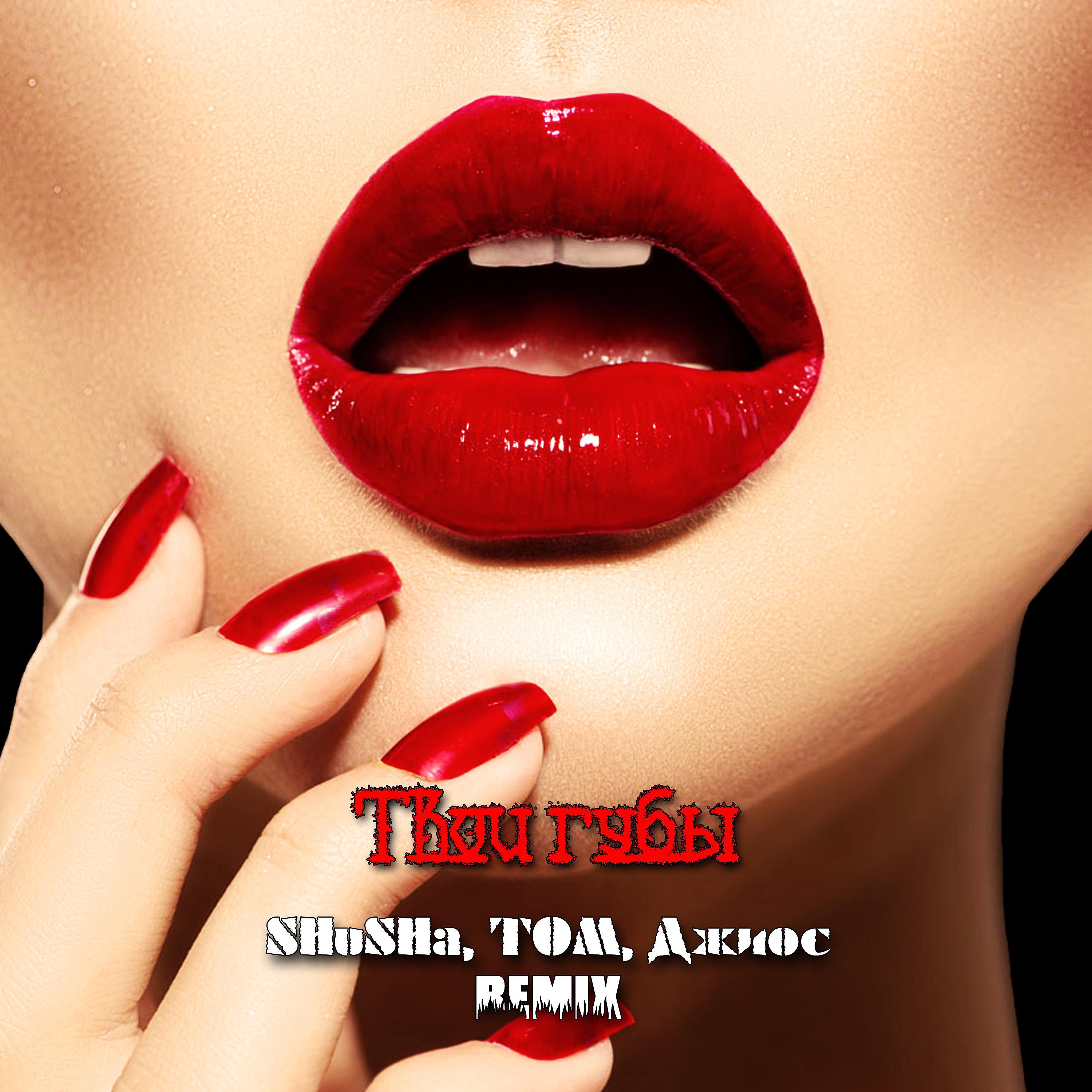 Постер альбома Твои губы (Remix)