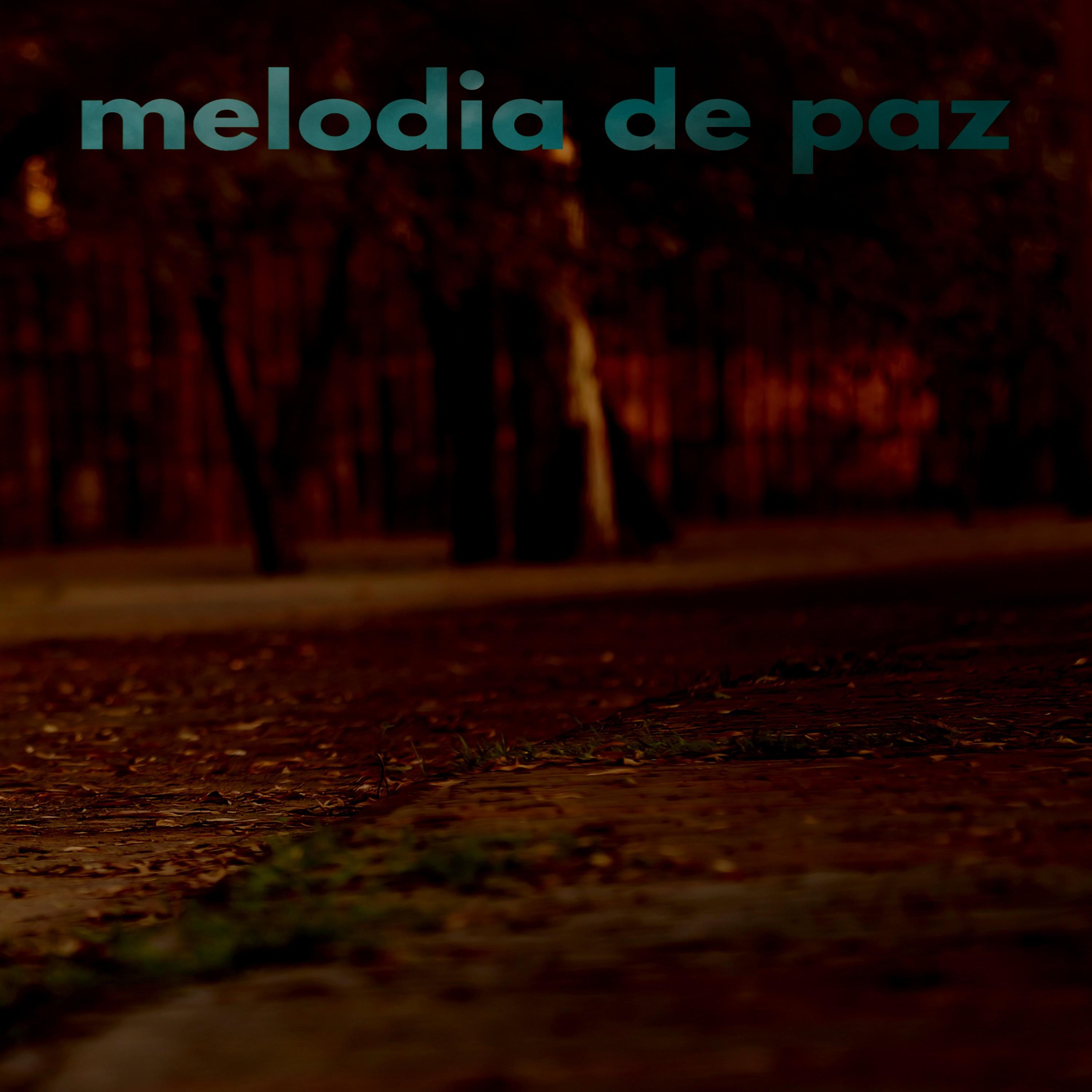 Постер альбома Melodias de paz