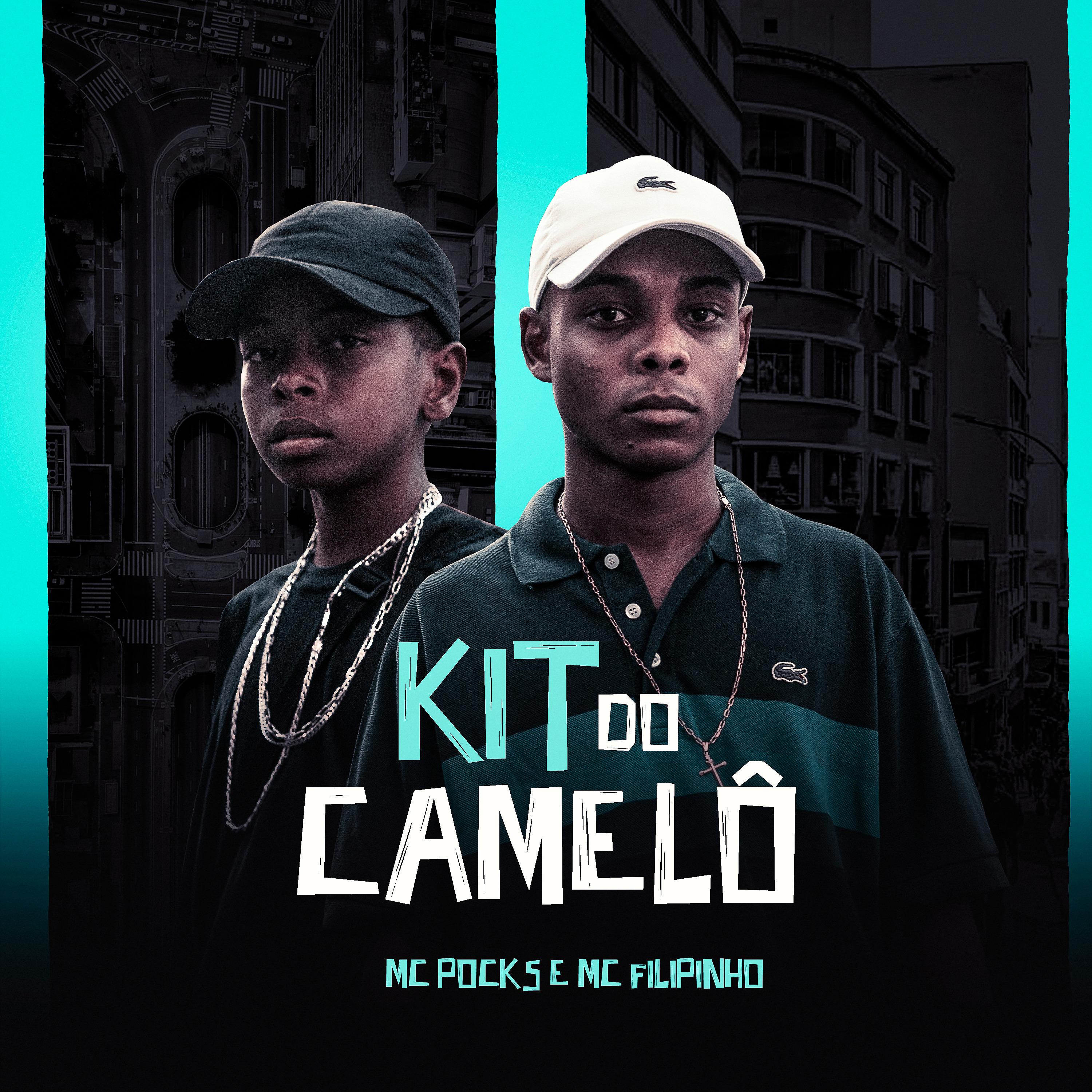 Постер альбома Kit do Camelô