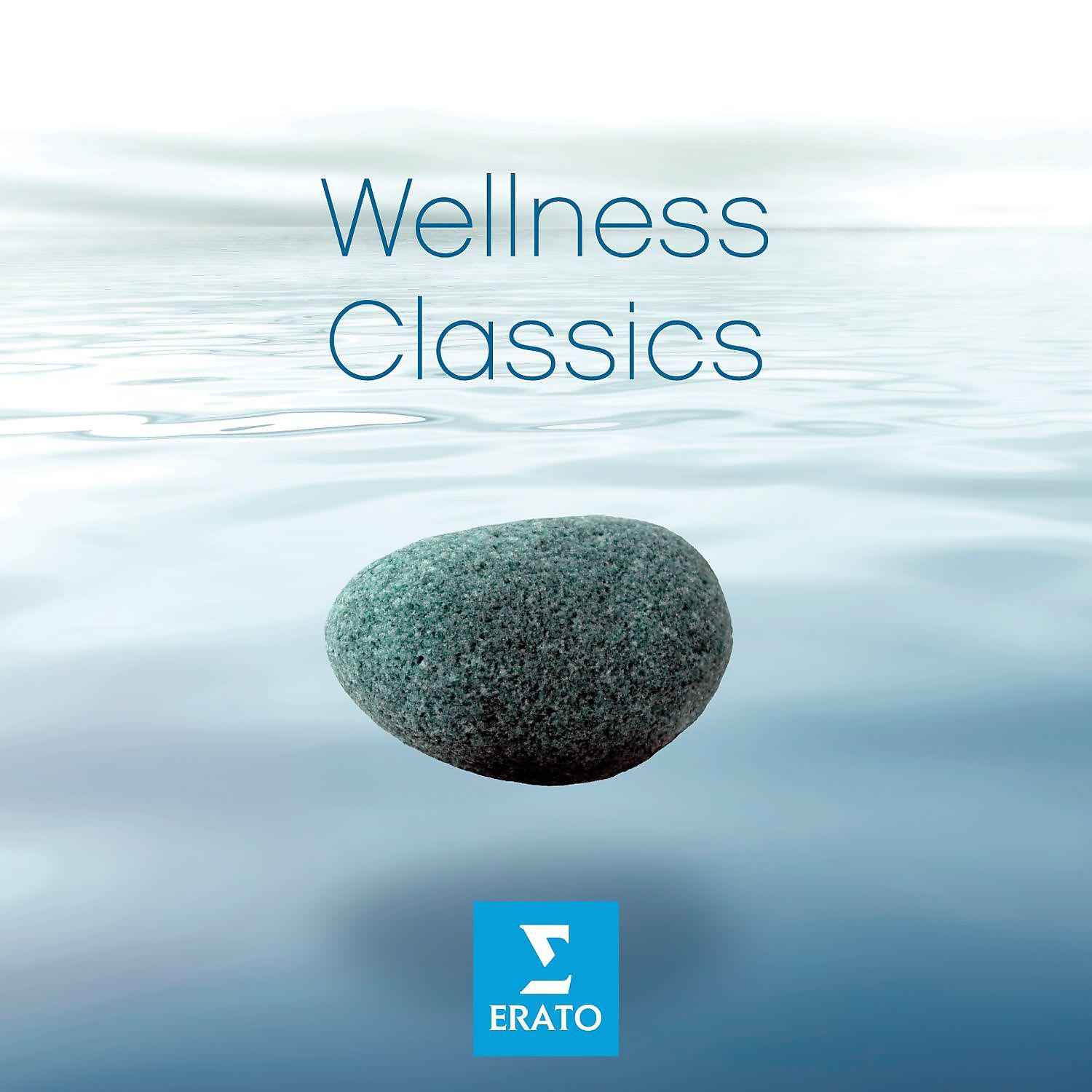 Постер альбома Wellness Classics