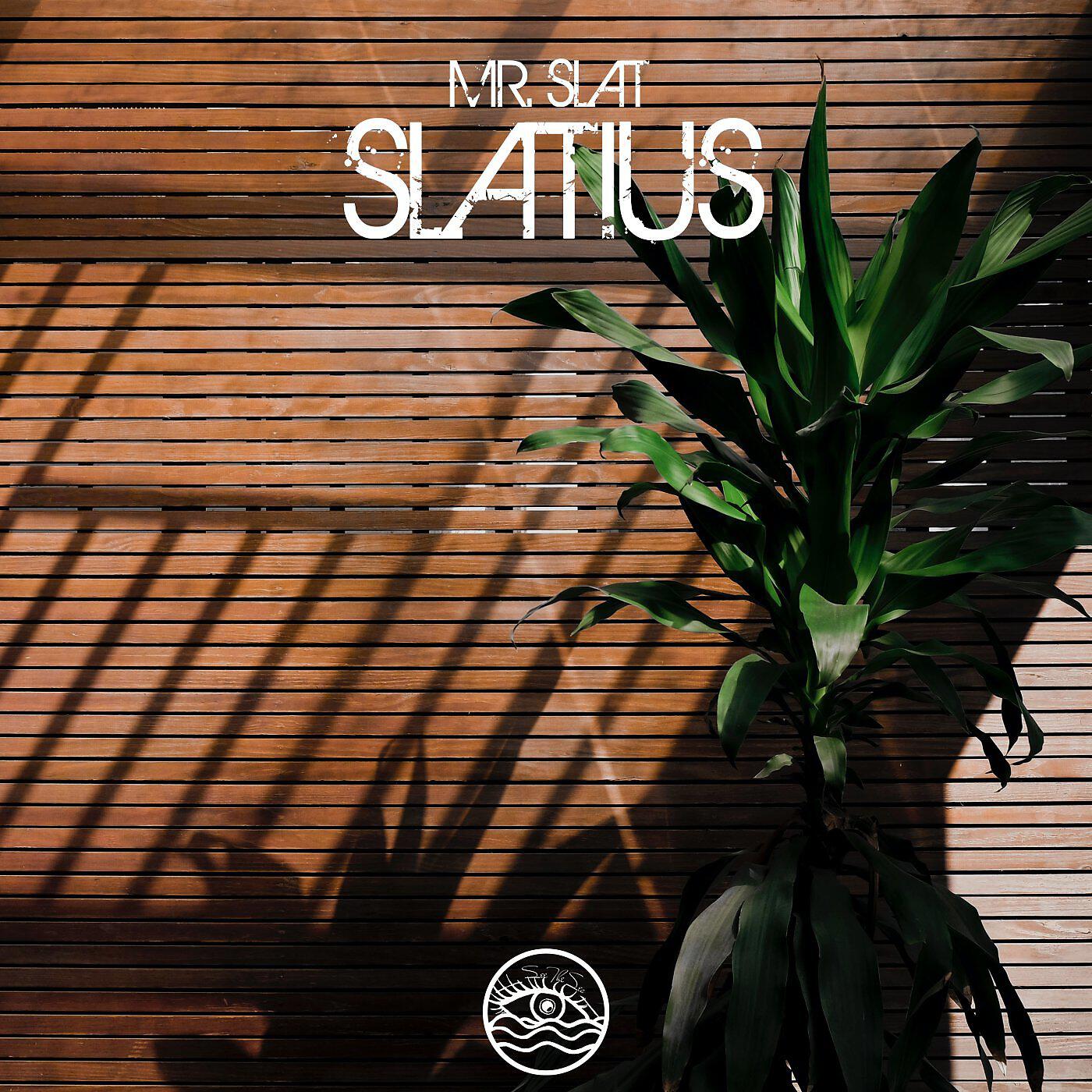 Mr. Slat - Caviar