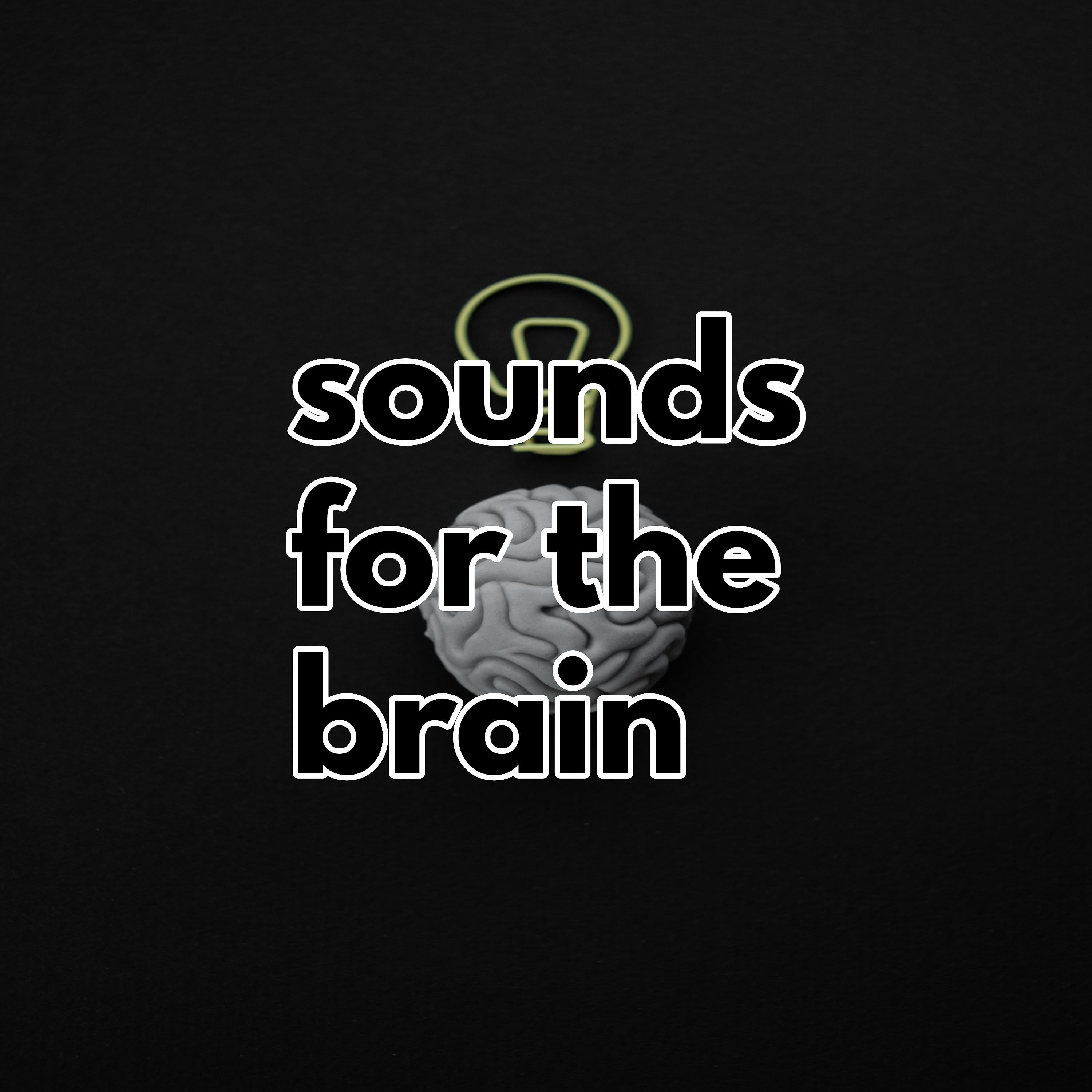 Постер альбома sounds for the brain
