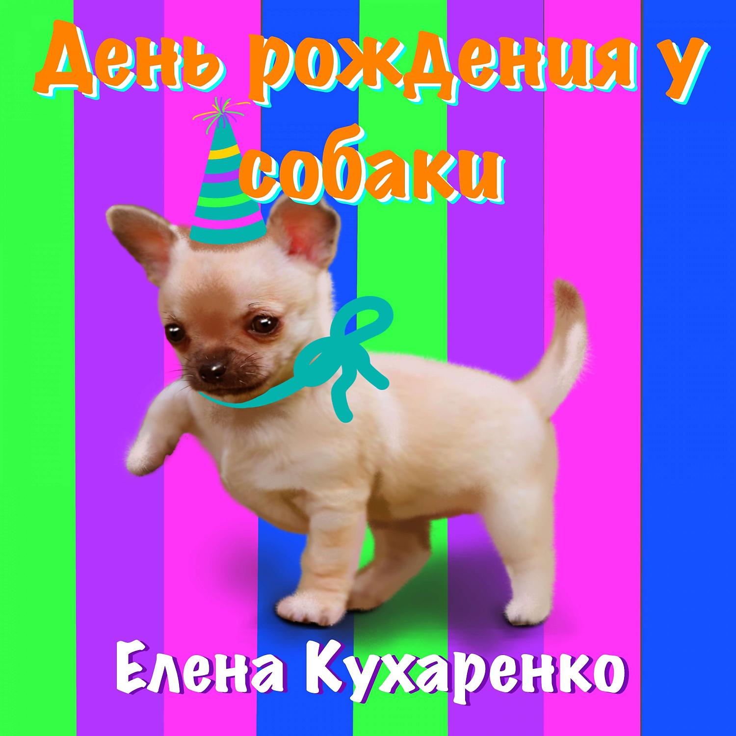 Постер альбома День рождения у собаки