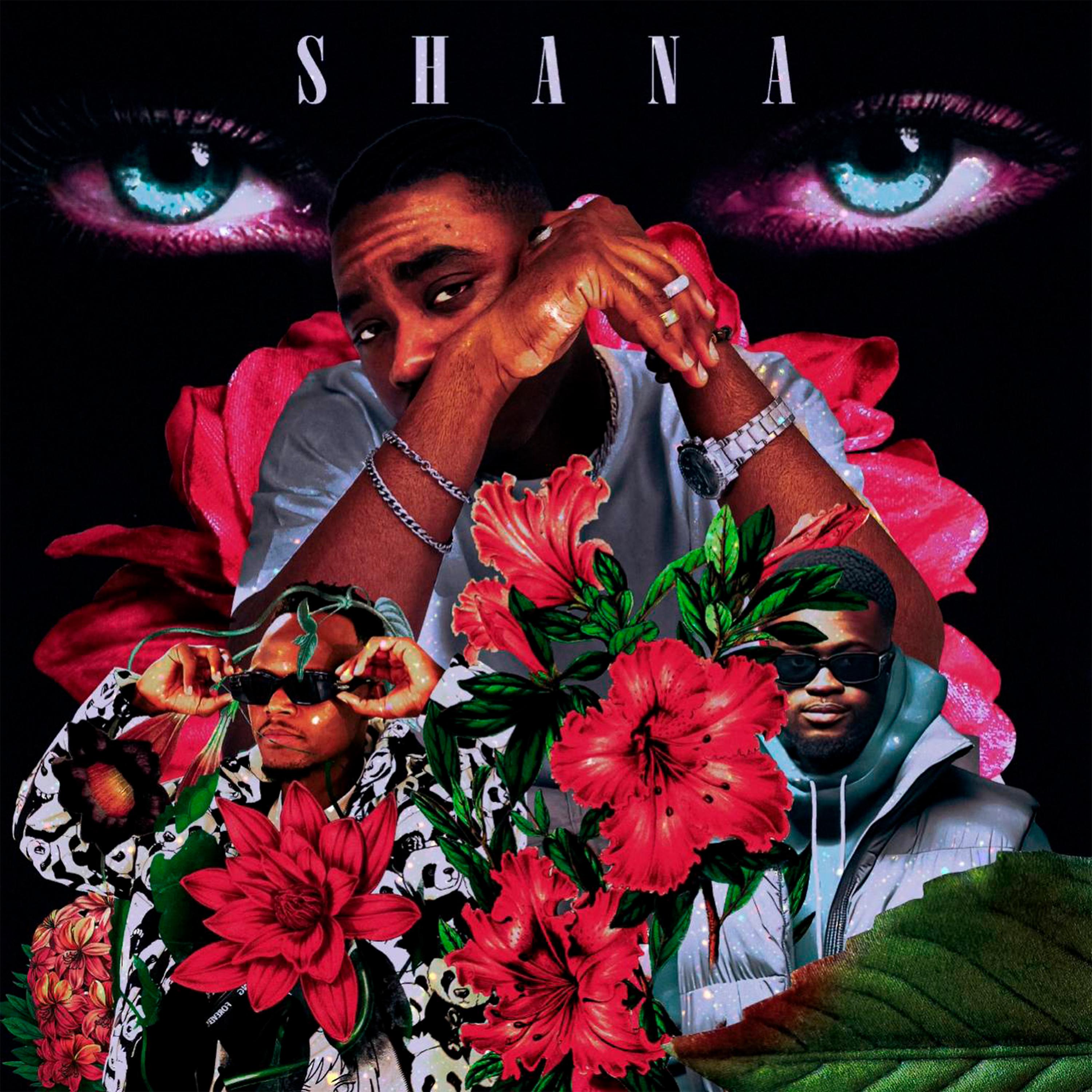 Постер альбома Shana