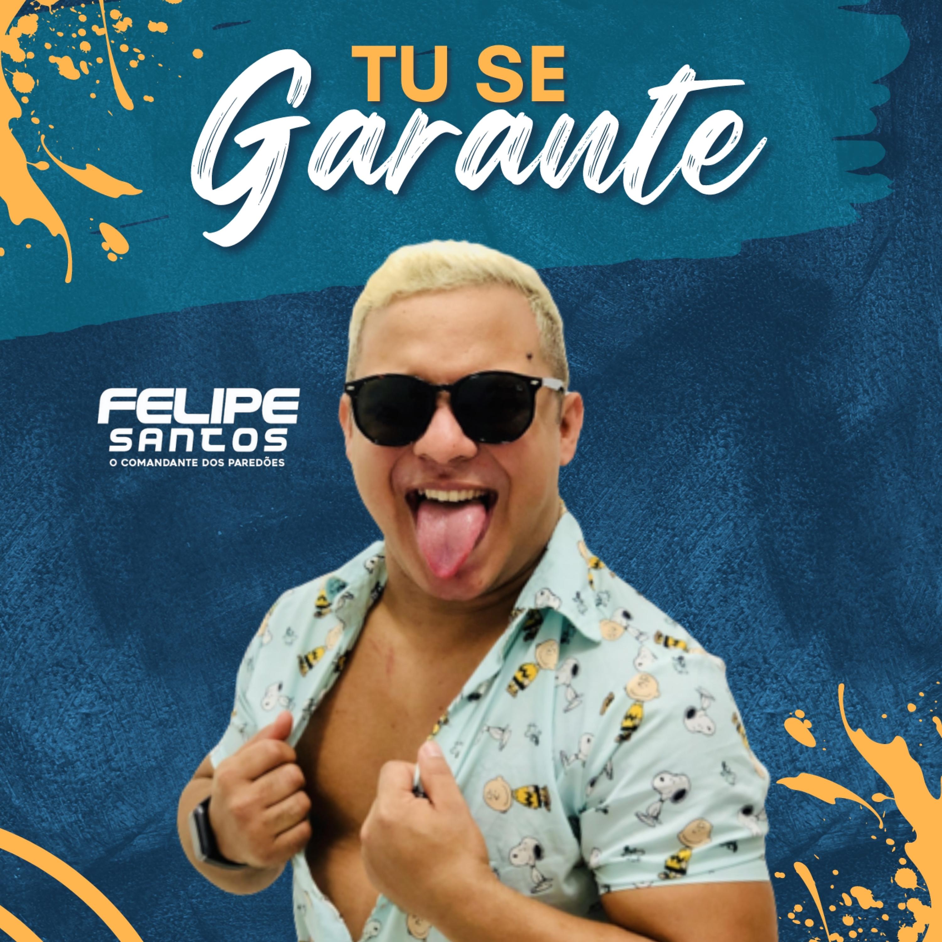Постер альбома Tu Se Garante