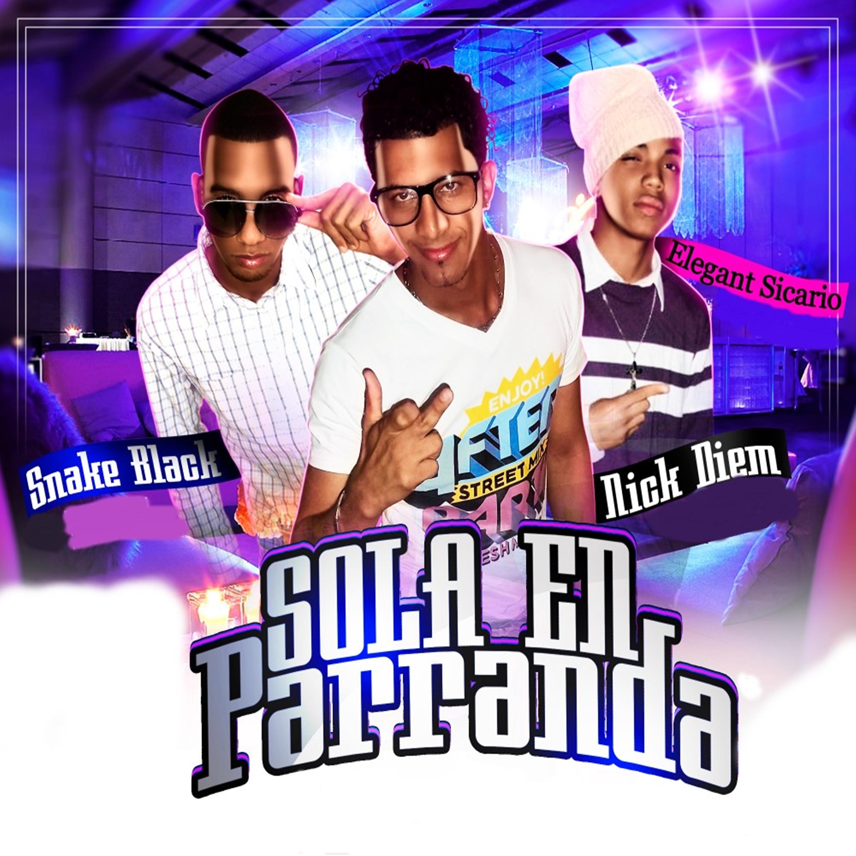 Постер альбома Sola en Parranda
